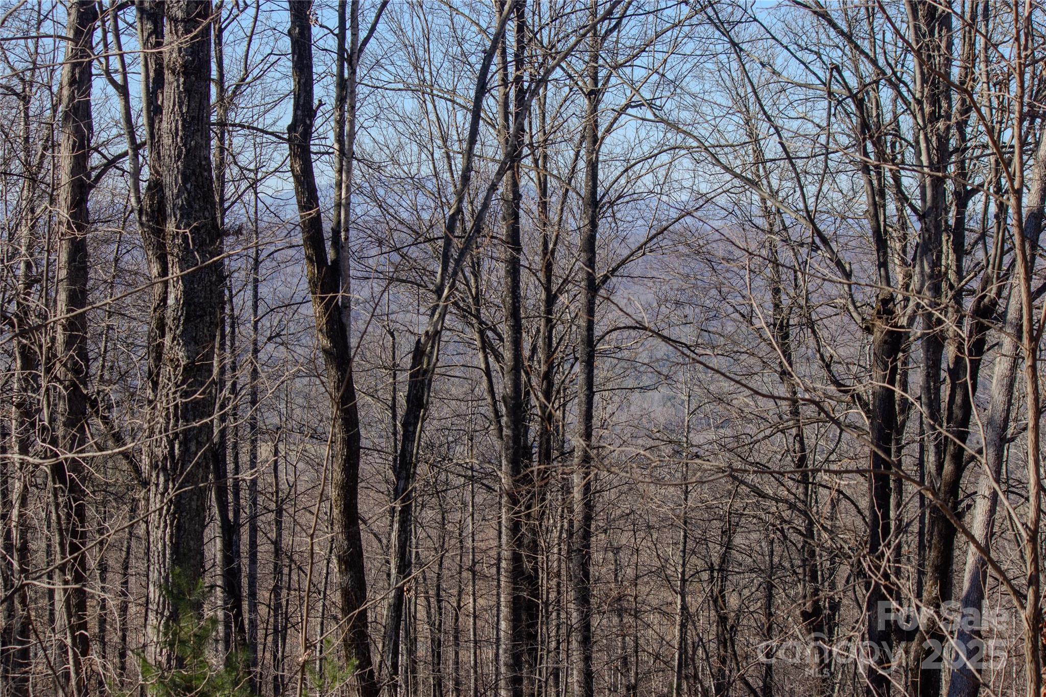 2216 Nighthawk Ridge Court 30