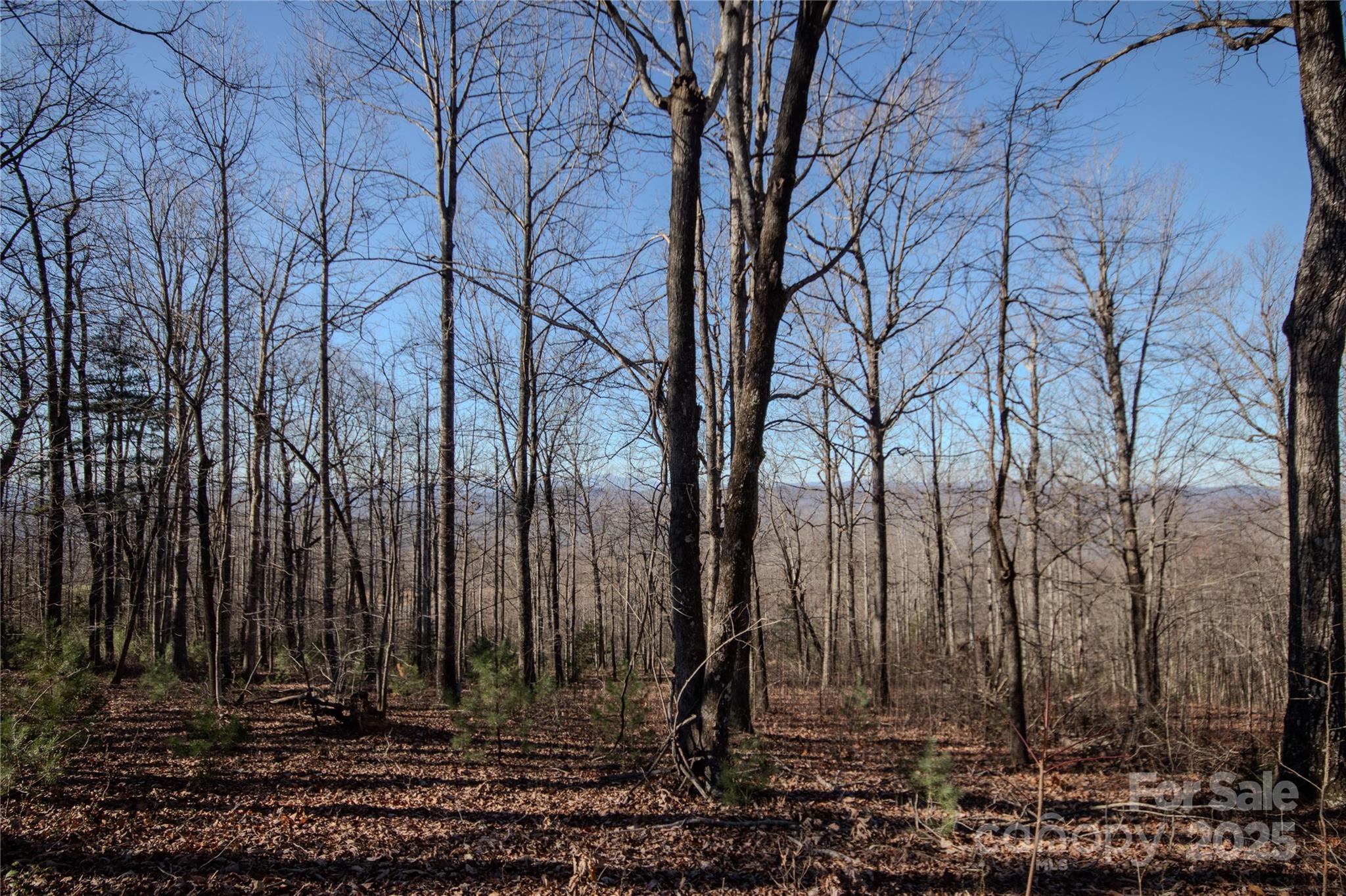 2216 Nighthawk Ridge Court 30