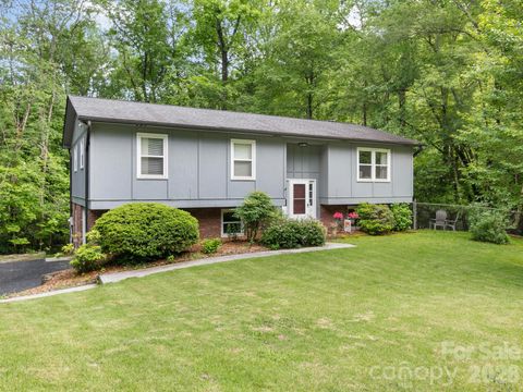 1 Laurel Forest Drive Horse Shoe NC 28742