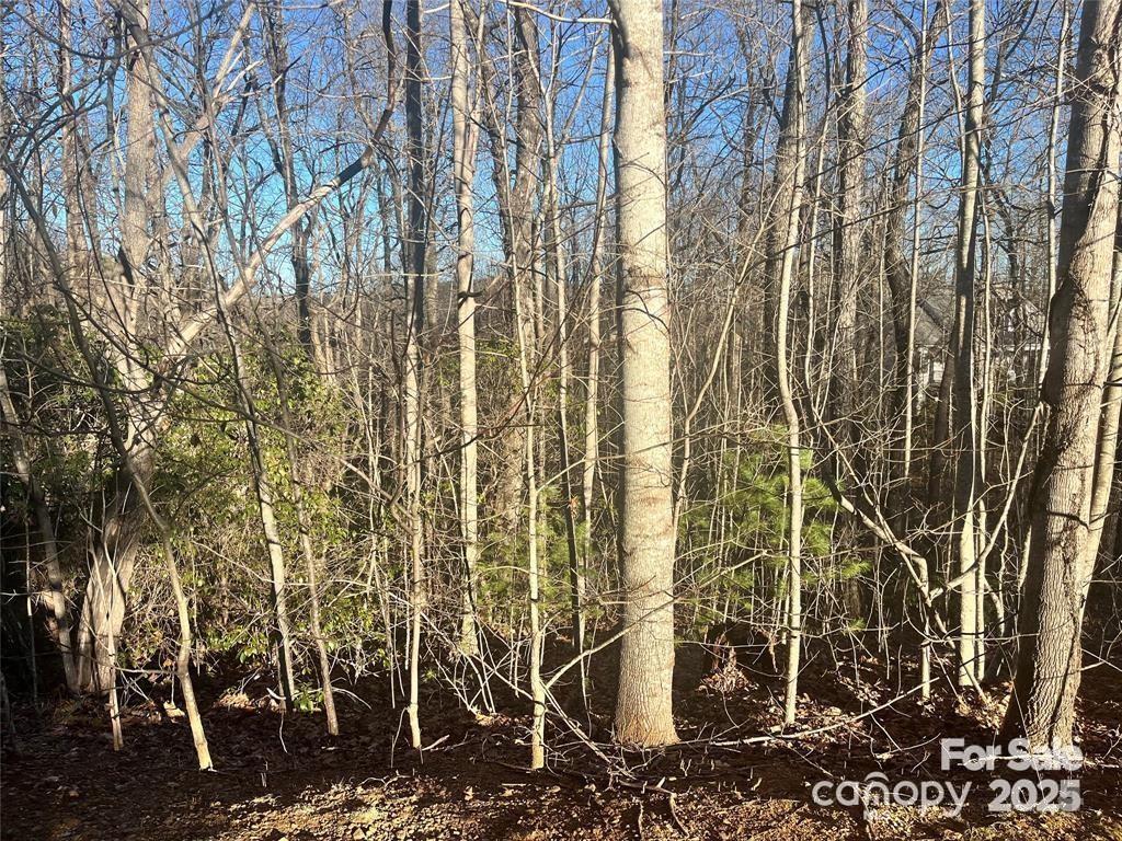 129 Pinnacle Peak Lane