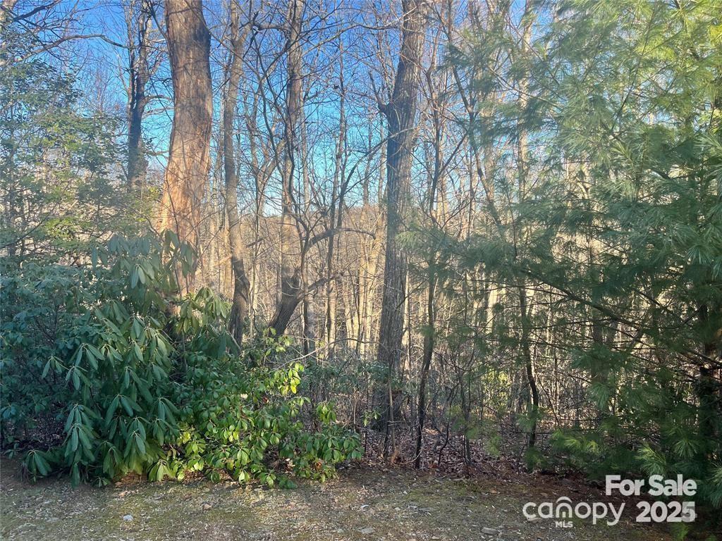 129 Pinnacle Peak Lane
