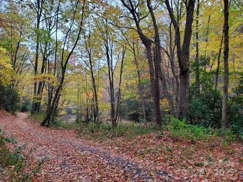 0000 Buffalo Ridge Canton NC 28716