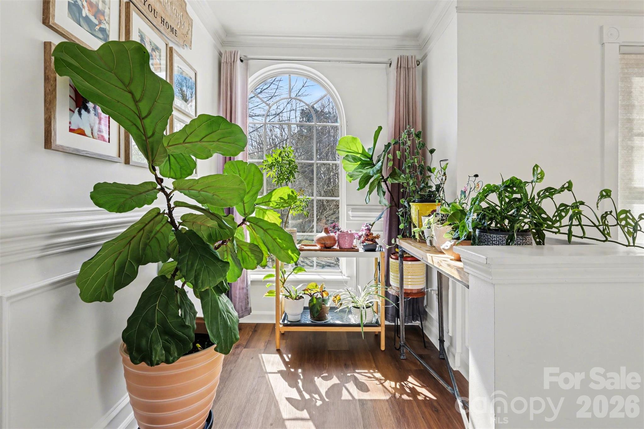 Tanners Creek - Residential