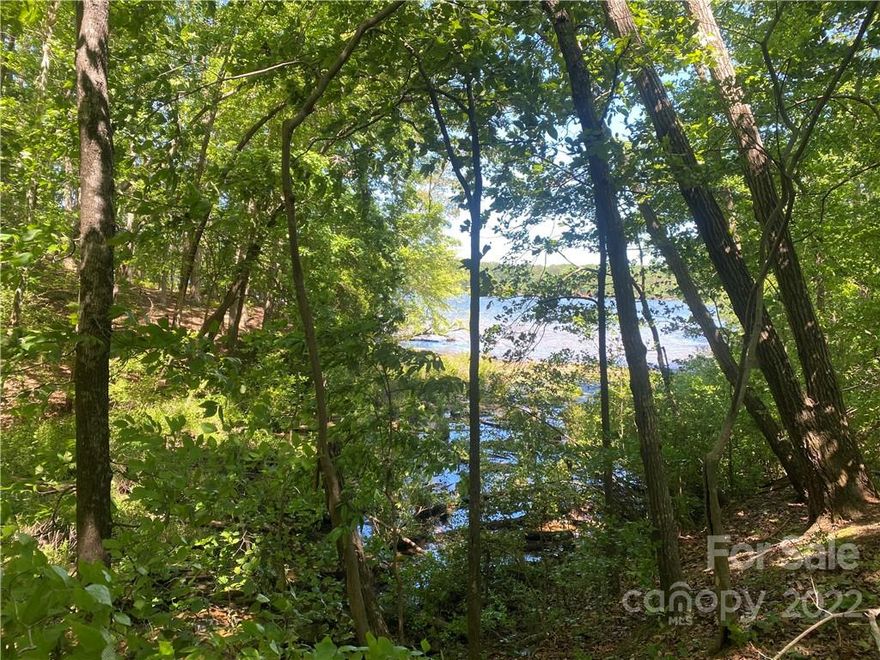 Waterfront lot in desirable Edgewater on Lake Tillery. This gated community boasts a lovely clubhouse, Olympic sized pool, waterfront pavilion with sandy beach, community boat ramp and so much more! 
(One of the sellers is a licensed real estate agent.)