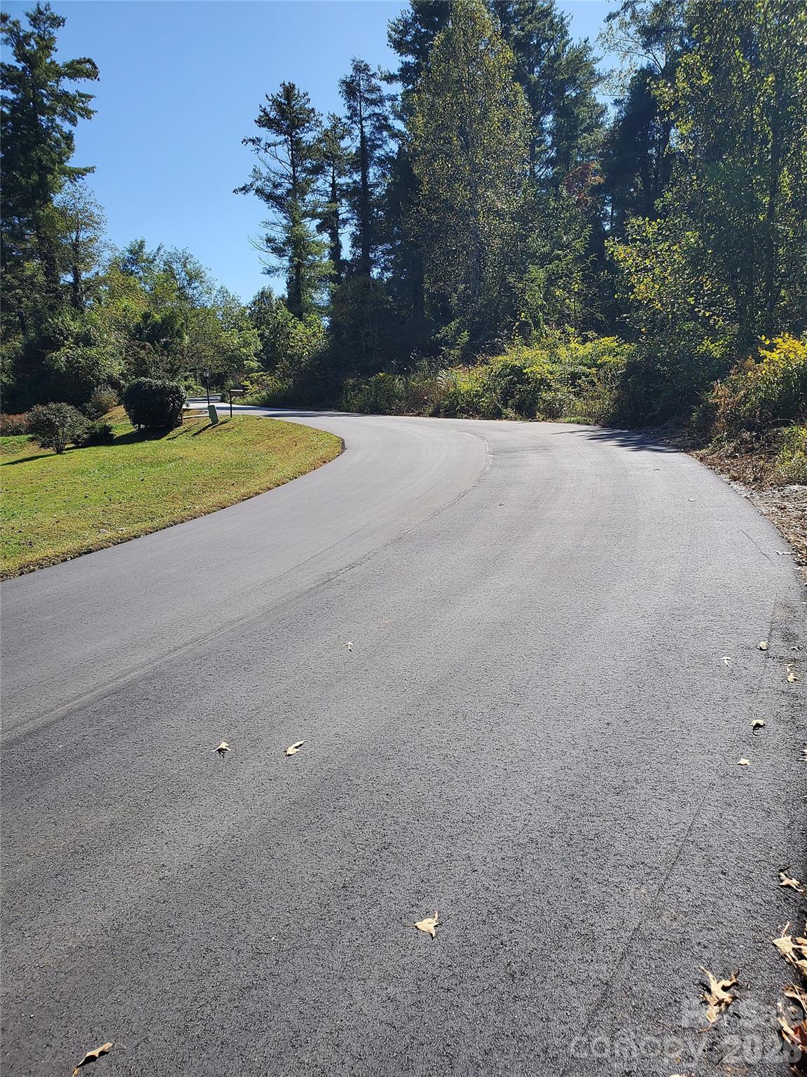 Leonis Mountain Lake Homes - Land