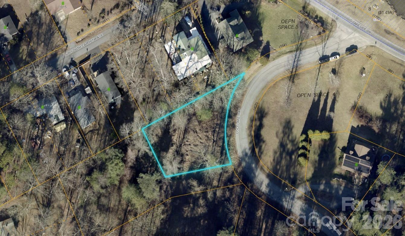 Leonis Mountain Lake Homes - Land