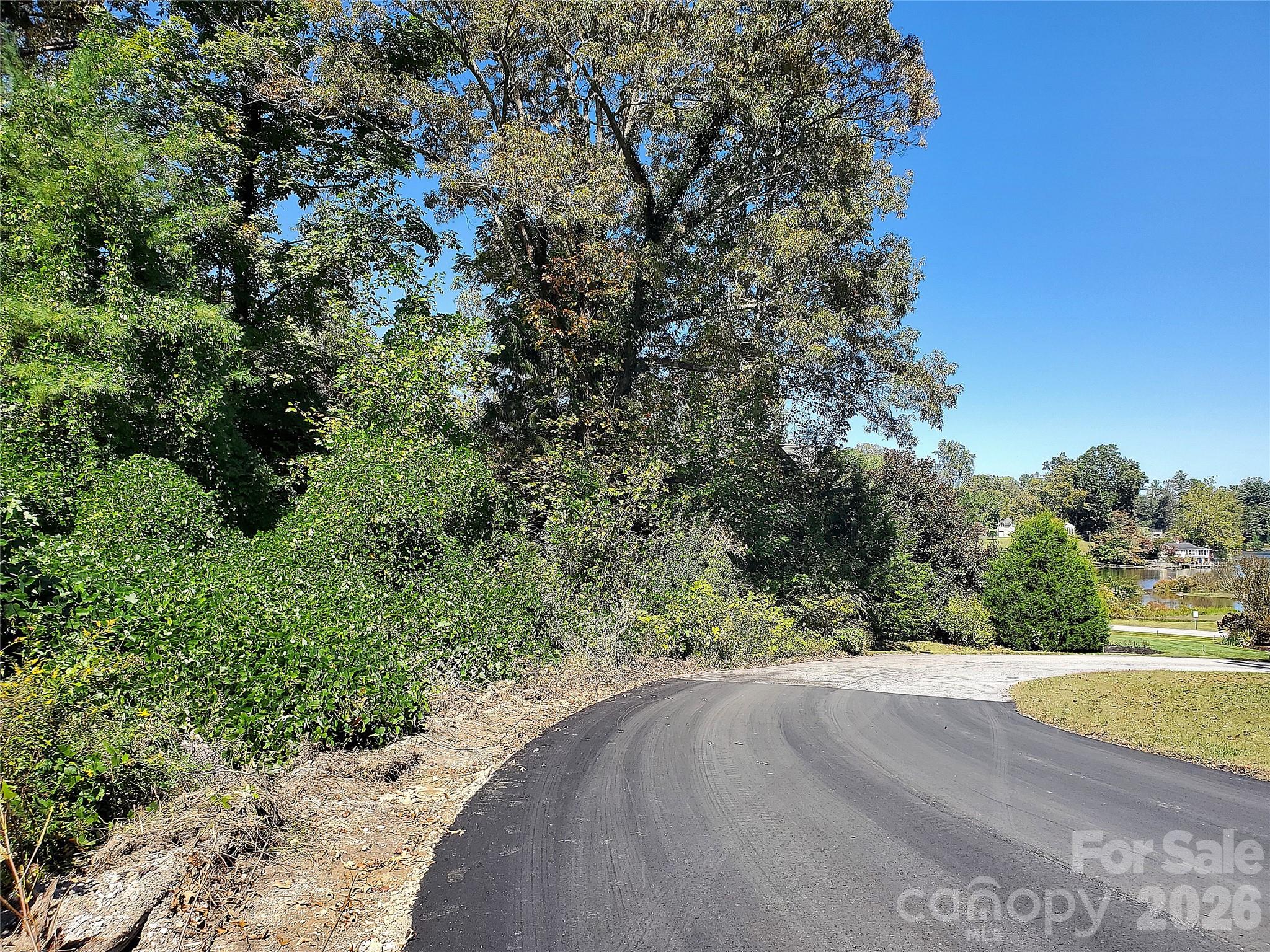 Leonis Mountain Lake Homes - Land