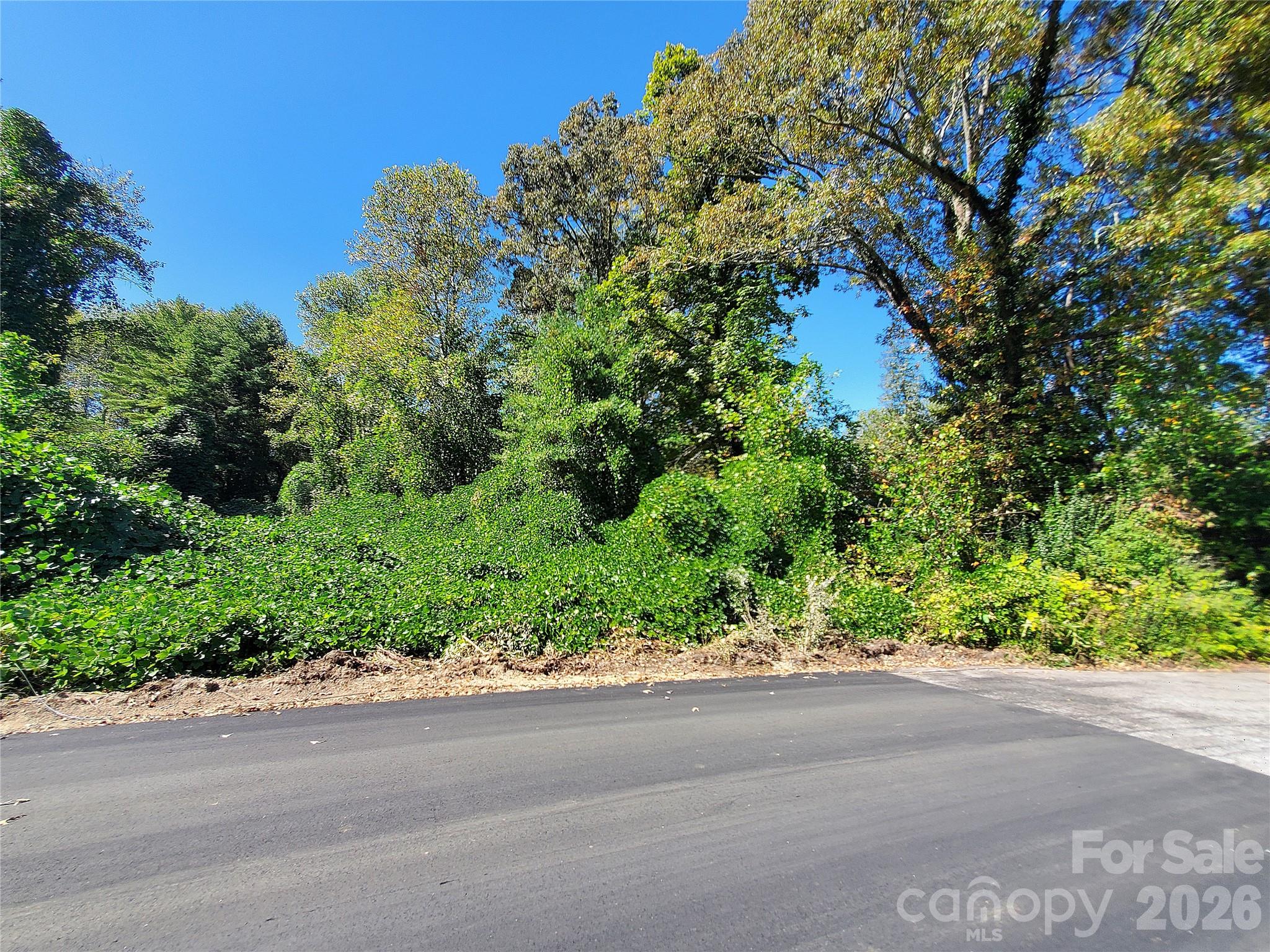 Leonis Mountain Lake Homes - Land