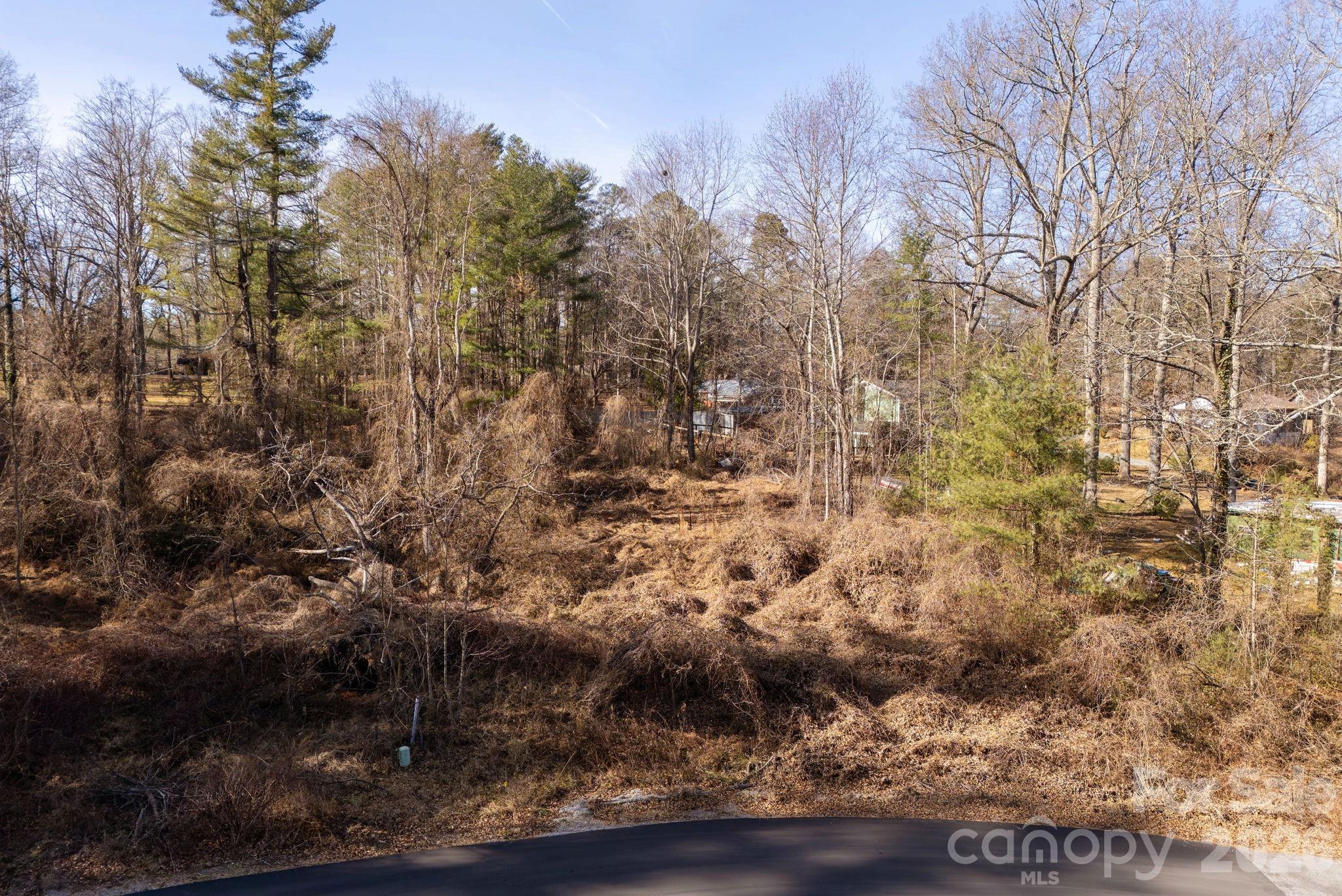 Leonis Mountain Lake Homes - Land