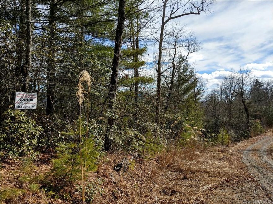 Tranquil and scenic Carolina mountain top living is what you will find here! This 1.00 acre level to gentle sloping lot in private Dogwood Mountain Estates is an excellent opportunity to build your forever, or a vacation home. Underground electric is already installed. Approximately 3300 ft above sea level. Located just minutes from DuPont State Forest, and the Oscar Blues Ranch as well as conveniently located close to  Historic Hendersonville and Brevard. ***This lot is not currently part of the Dogwood Mountain Estate HOA. Seller makes no representations regarding, and it is the buyer's responsibility to determine, the property's relationship to the HOA and any road Maintencance responsibility/fees. Please contact the Dogwood Mountain Estate HOA president-- Mike Hopton (251) 402-2504 for information. ***