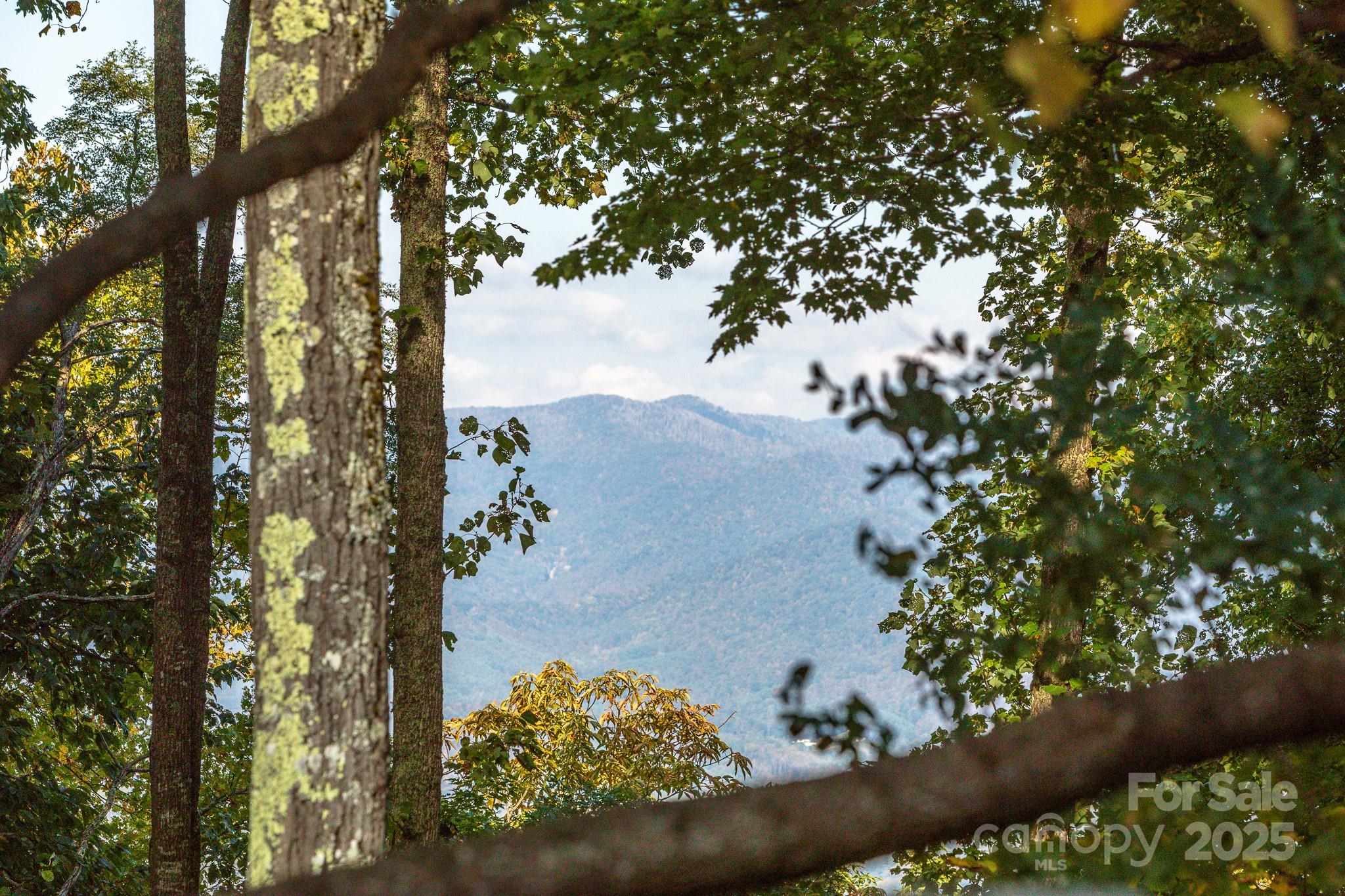 Lot 2 Ball Hooter Road 2/6