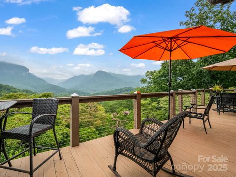 315 Thomas A Edison Road Lake Lure NC 28746