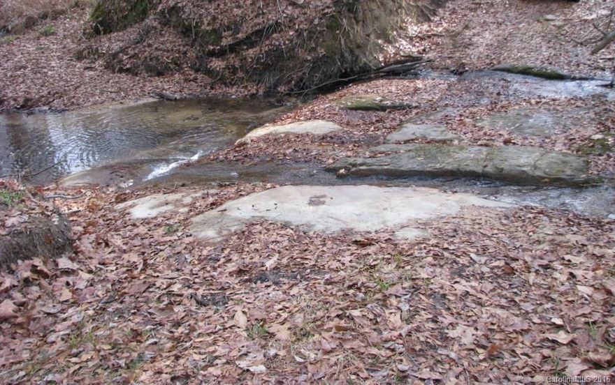 Wooded parcel with year round stream and good paved frontage.  Nicely shaped parcel surrounded by large farms/woodlots.  Has thick hardwoods along stream.  Planted pines set in 1992 are well stocked and growing sawtimber/poles on majority of land.  There is a wide powerline near the front that provides good wildlife viewing.  Numerous deer trails cross the land, and turkey raise their young here.  Great hilltop near the front for a homesite, and level ground near the stream and in back.