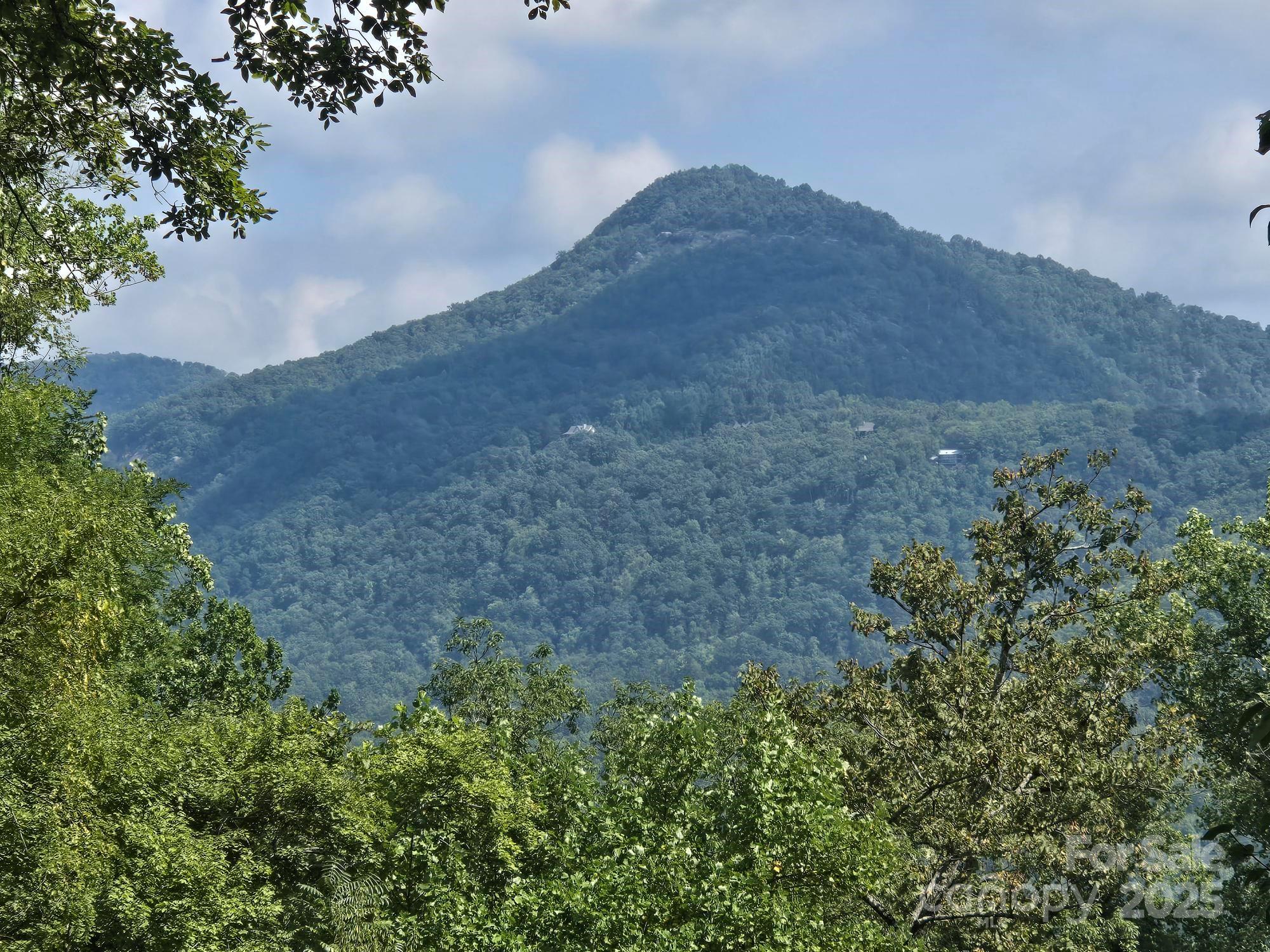 Rumbling Bald on Lake Lure - Residential