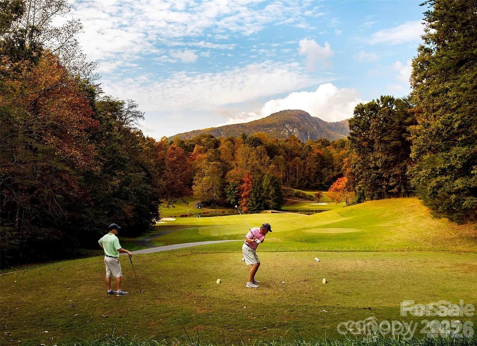 Rumbling Bald on Lake Lure - Residential