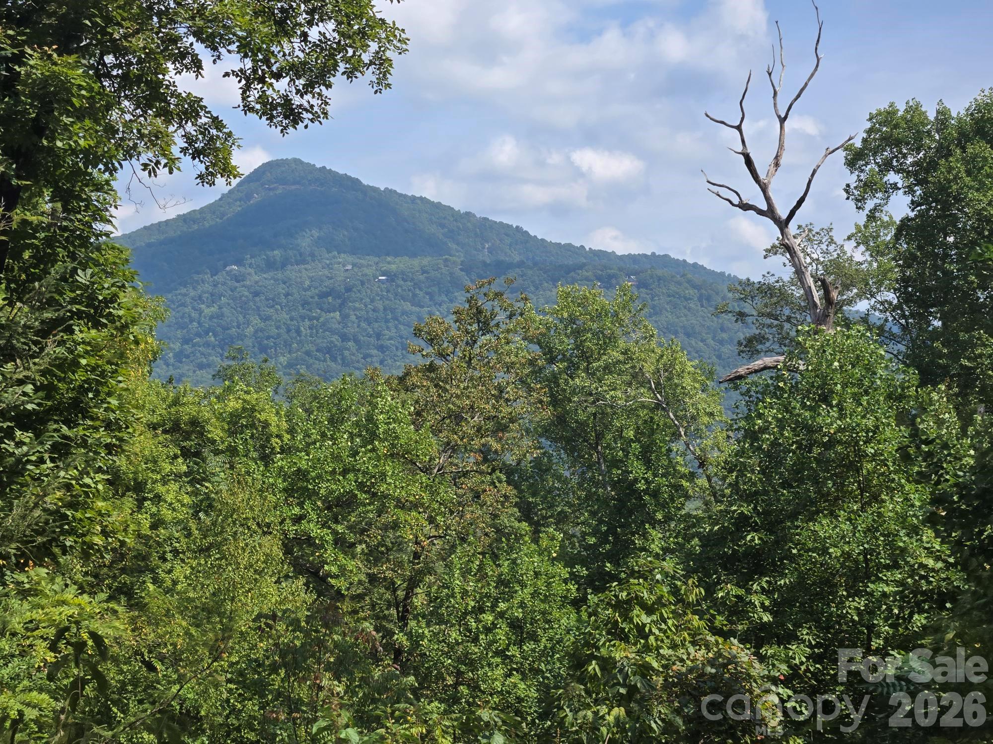 Rumbling Bald on Lake Lure - Residential