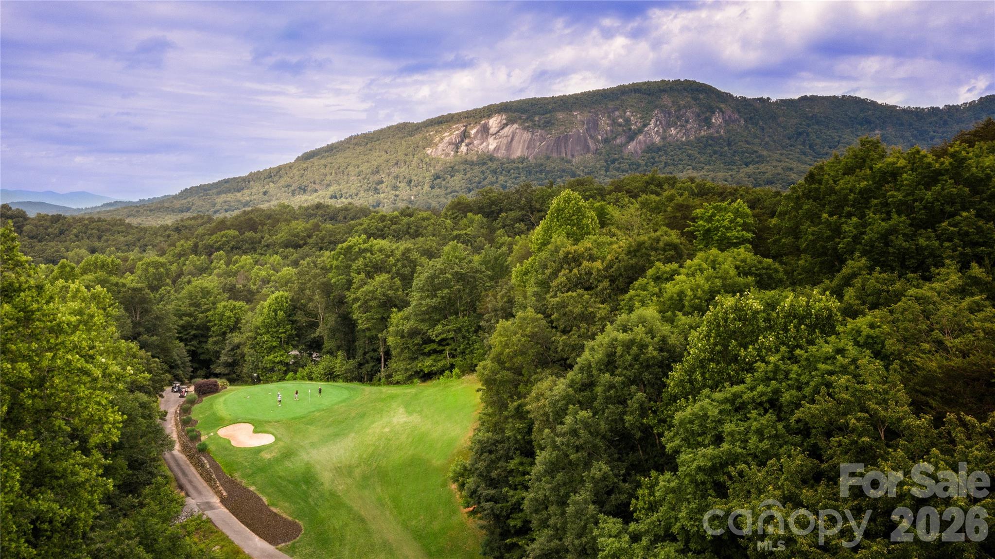 Rumbling Bald on Lake Lure - Residential