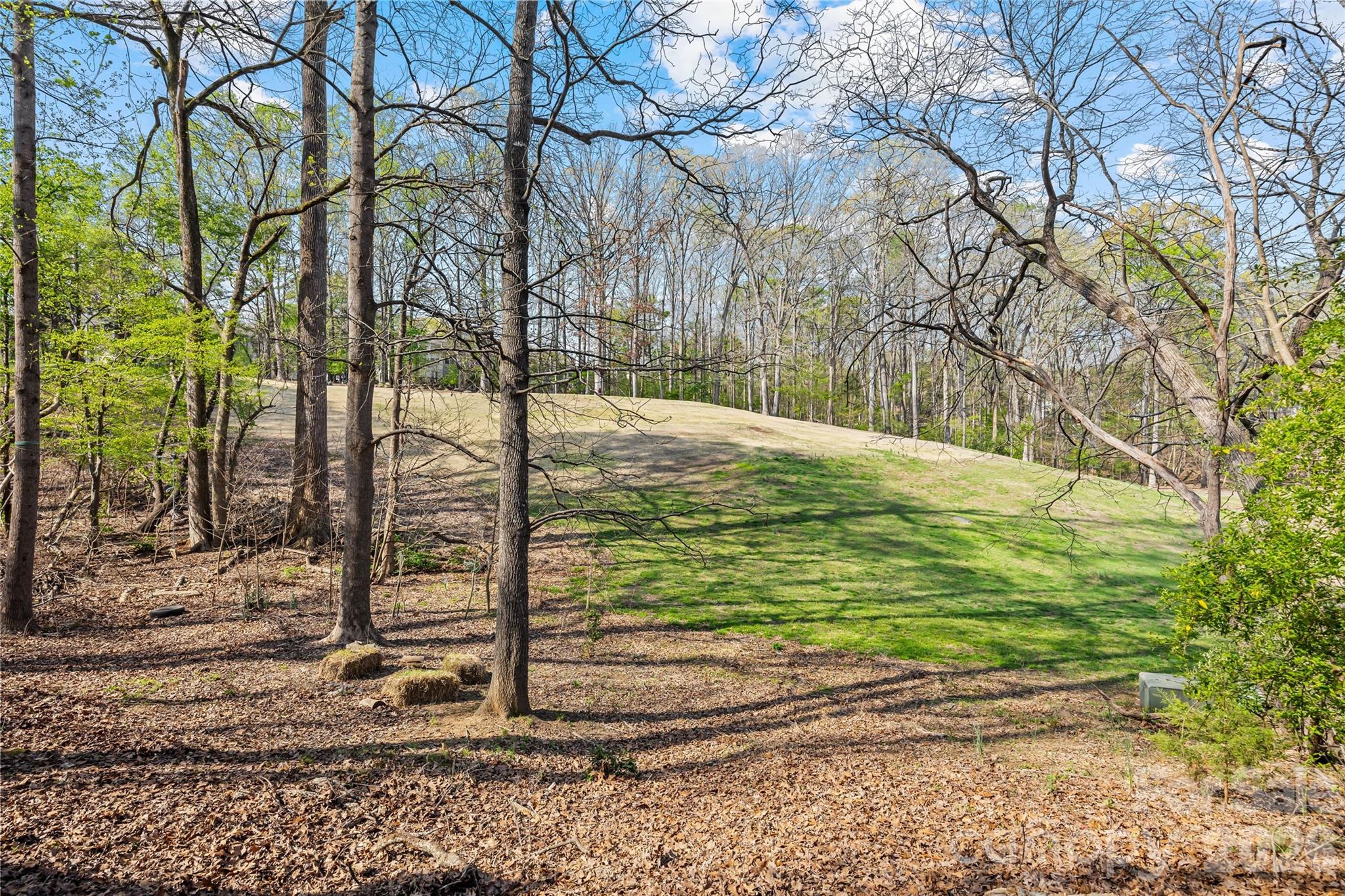 Raintree - Residential