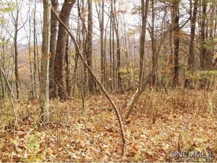 Beautiful Land With Road Into Property, 17.43 Acres, Several Building Sites, Long Range Views, Spring With Reservoir, Will Need Septic & Well - Or Can Use Spring, Picturesque Community, Close To Marshall & Mars Hill And Only 35 Minutes To Asheville