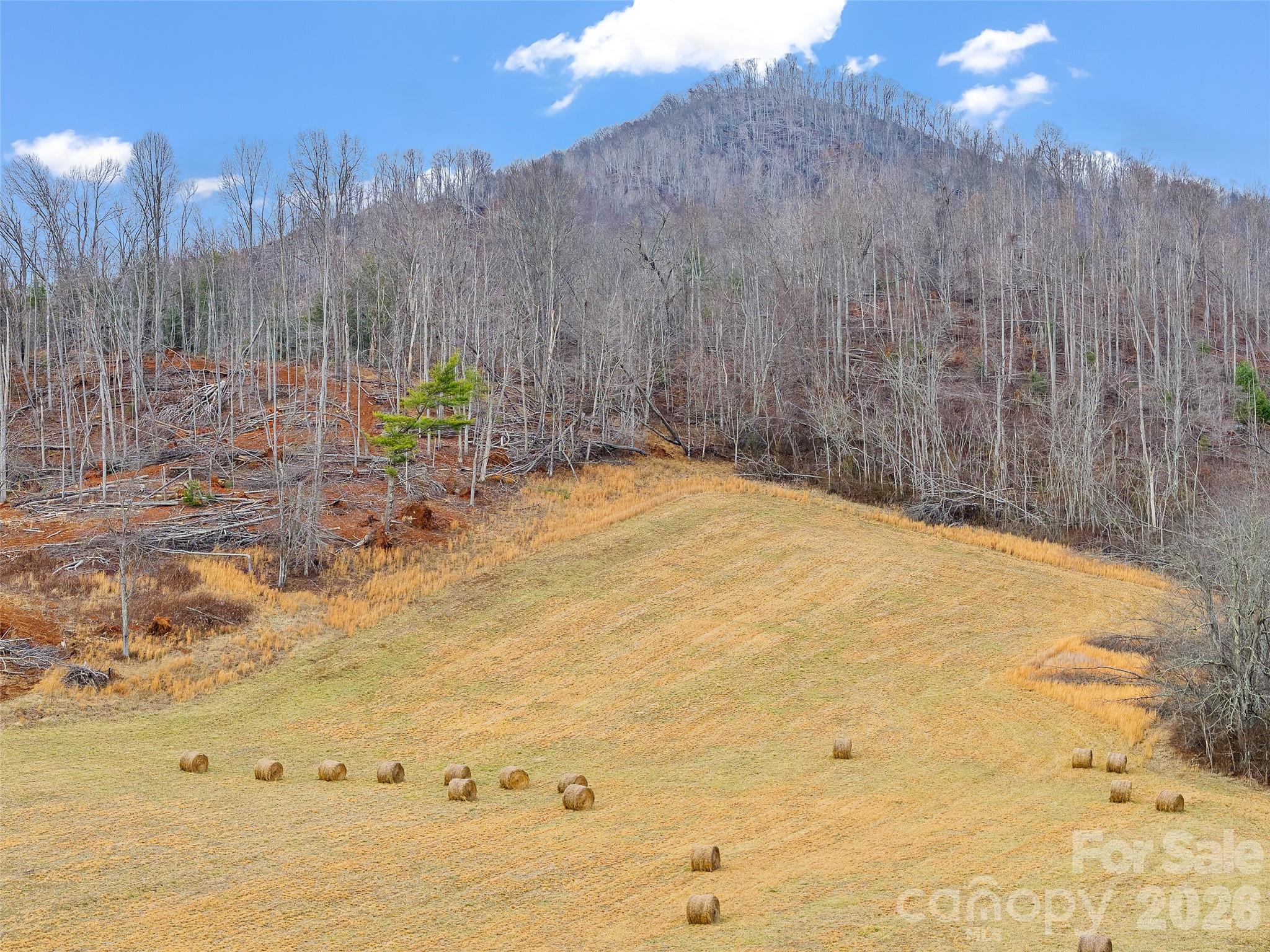 784 Green Young Cemetery Road