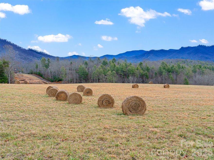 A rare offering of 25 pristine acres of mountain land—large, open, cleared, and remarkably level. This exceptional tract is fully usable and tractor-friendly, making it ideal for pasture, grazing, or tillable ground. The land’s gentle terrain and open expanse provide multiple beautiful homesite options, each with long views and a peaceful, unspoiled setting. Finding mountain property of this size that is both cleared and level is increasingly rare. Whether you envision a working farm, a private estate, or a legacy homestead, this land offers versatility, beauty, and endless potential.