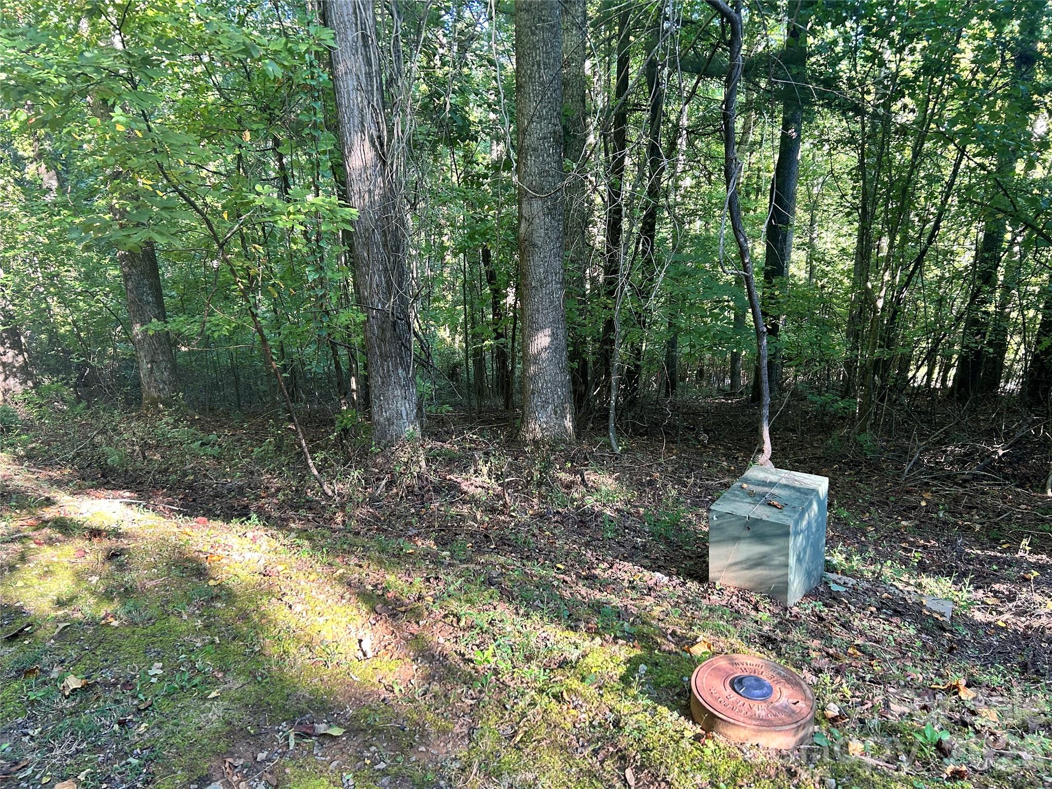 573 Solomon Circle