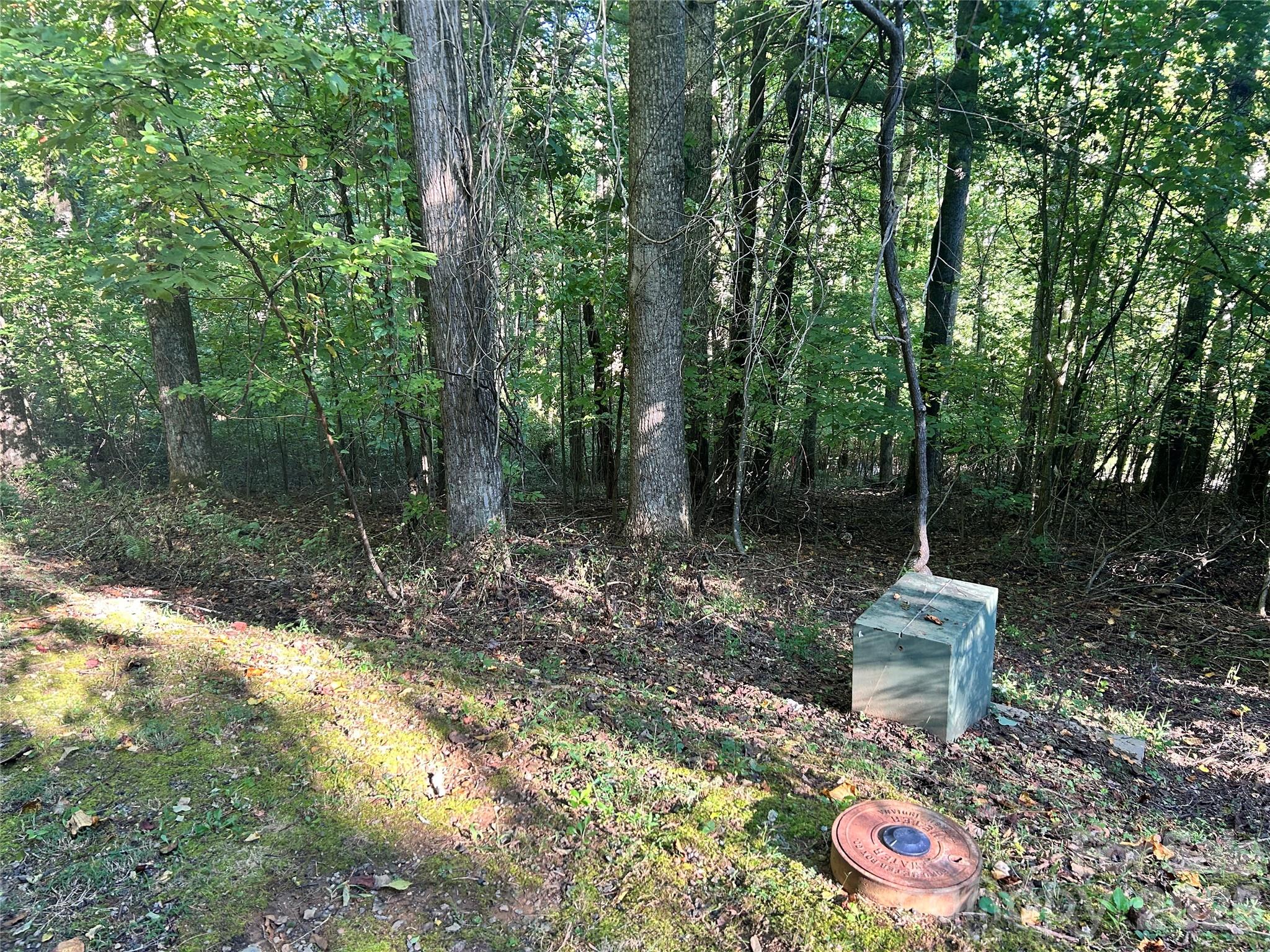 573 Solomon Circle