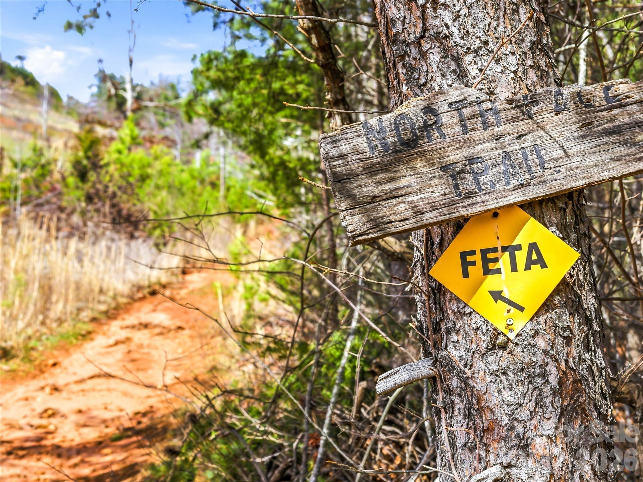 Hughes Creek Preserve - Residential