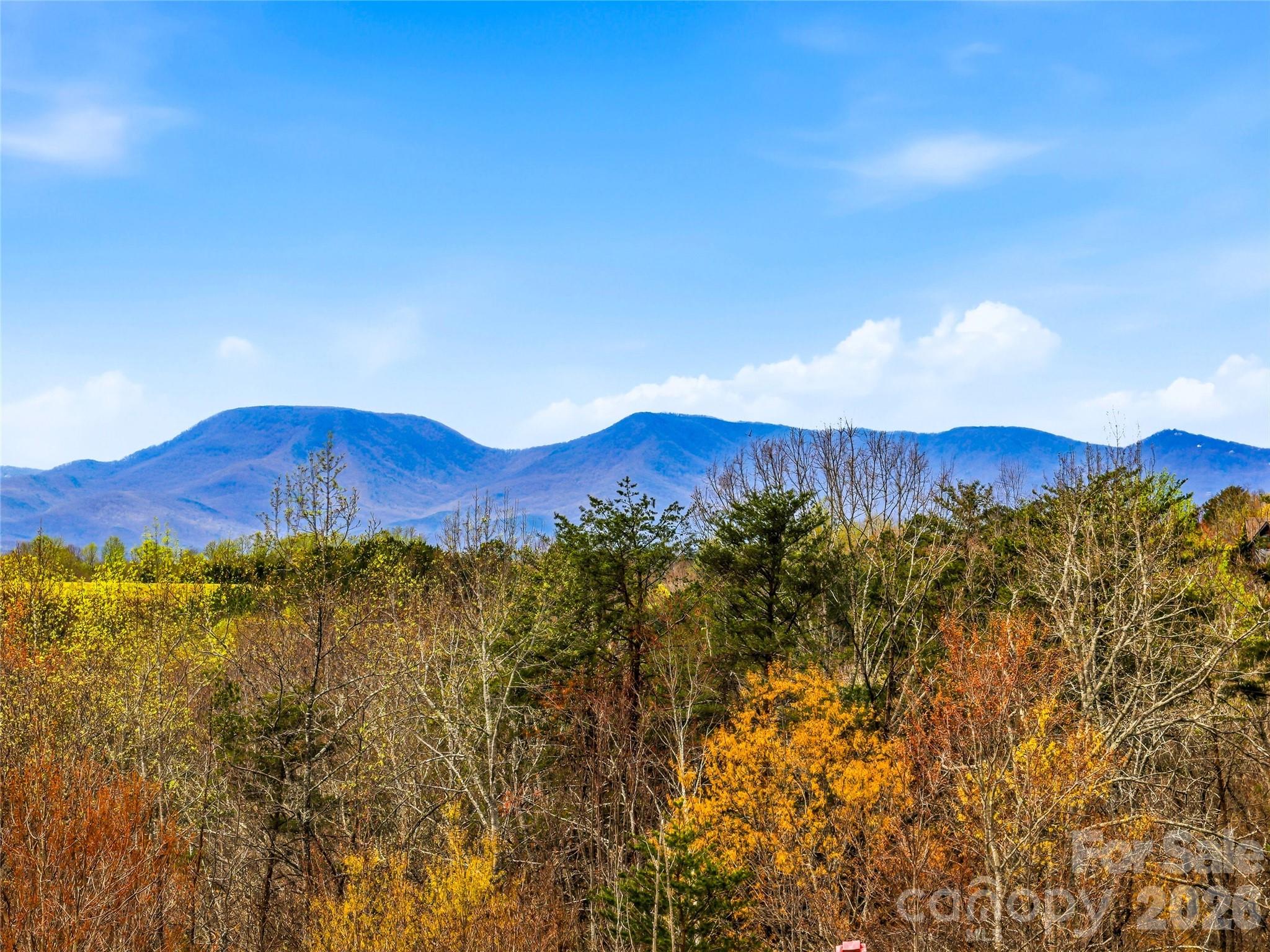 286 Preservation Trail