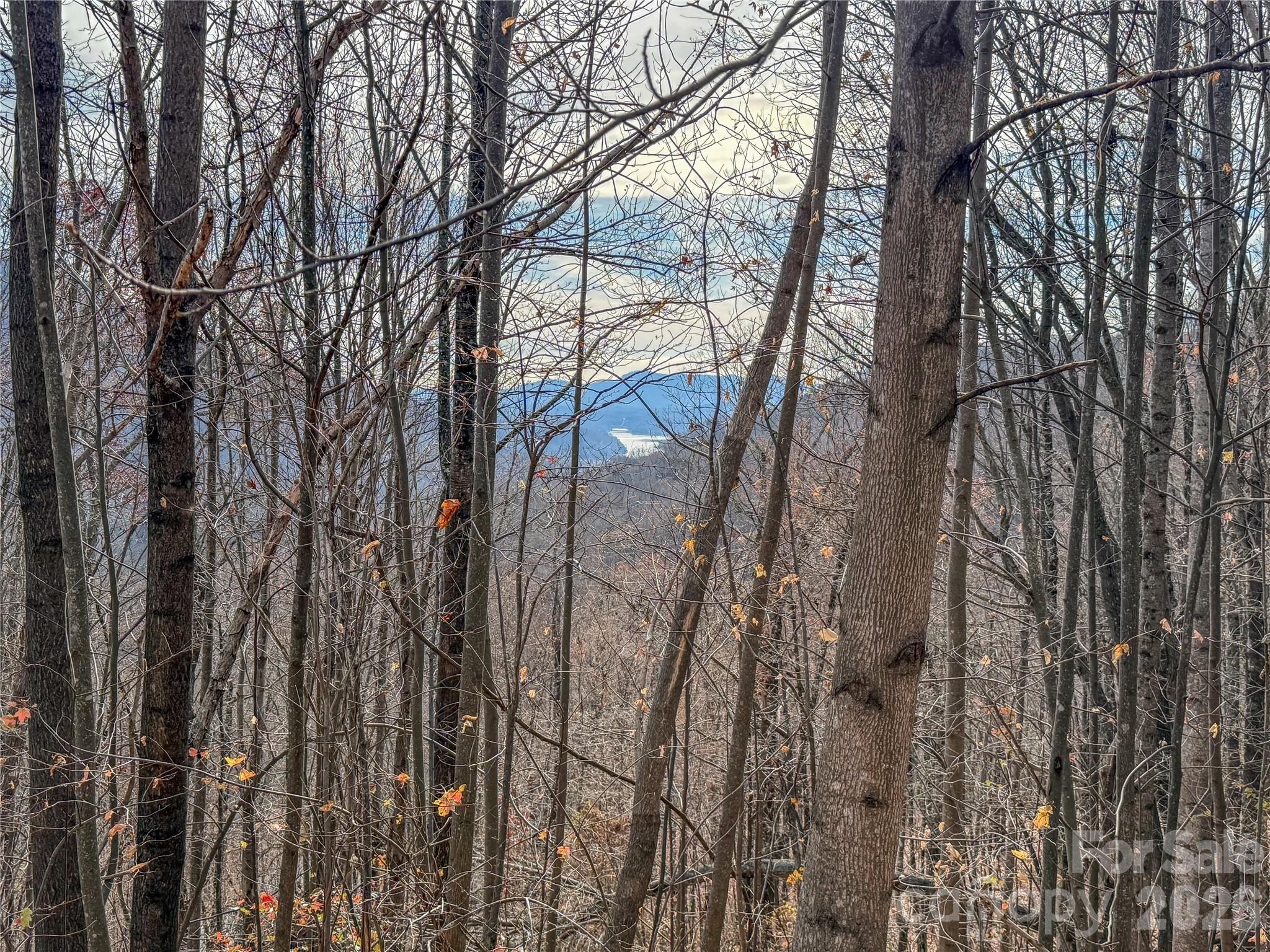 Grey Rock at Lake Lure - Land