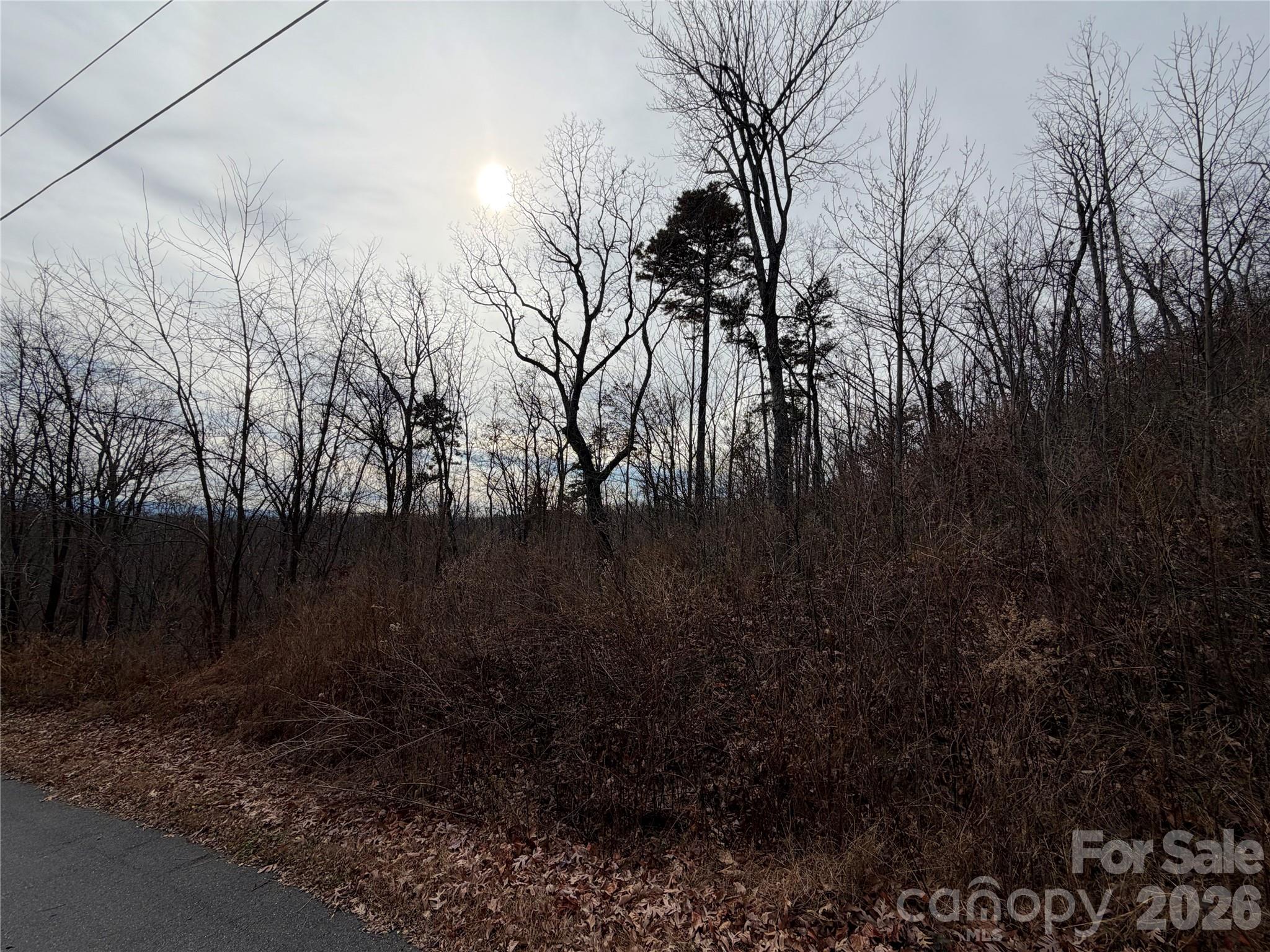 Lot 375 Rolling Ridge Trail