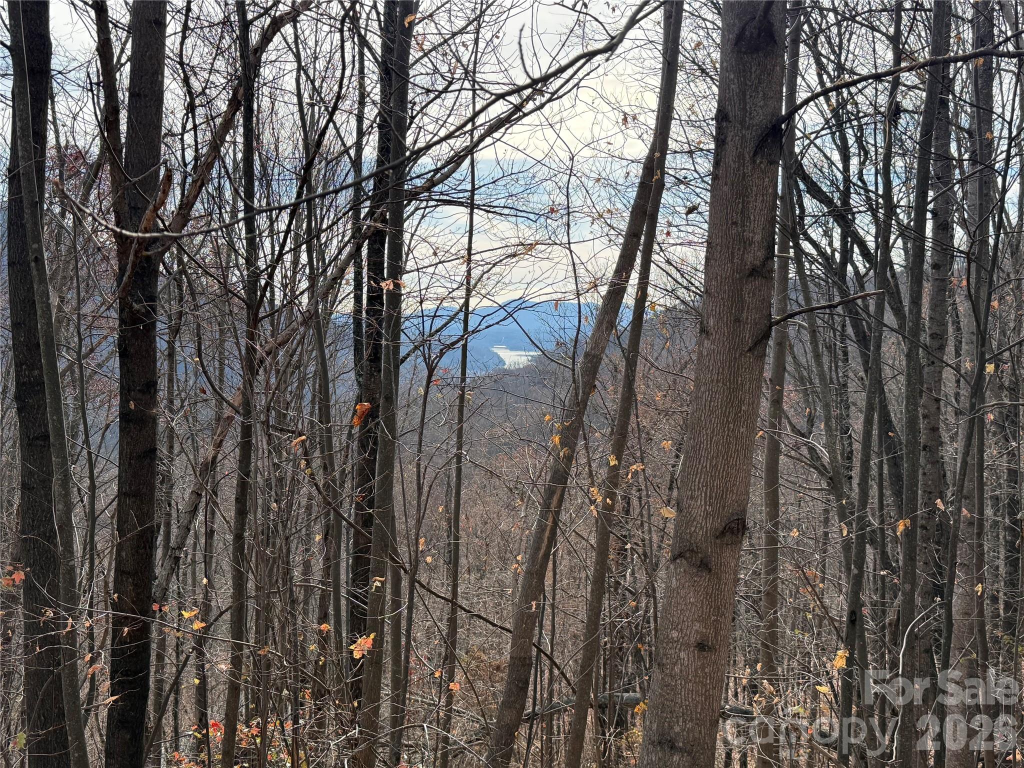 Lot 375 Rolling Ridge Trail