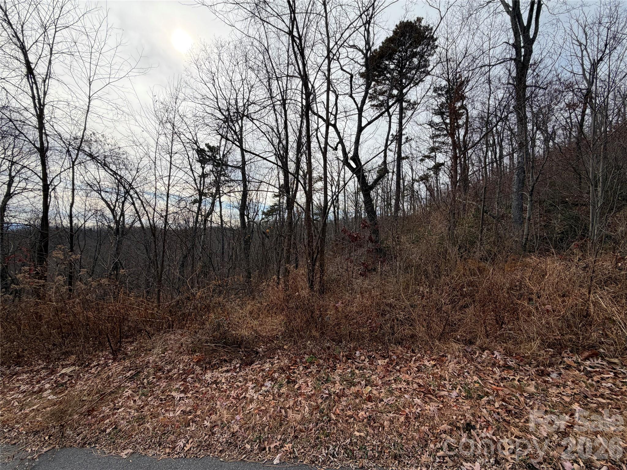 Grey Rock at Lake Lure - Land