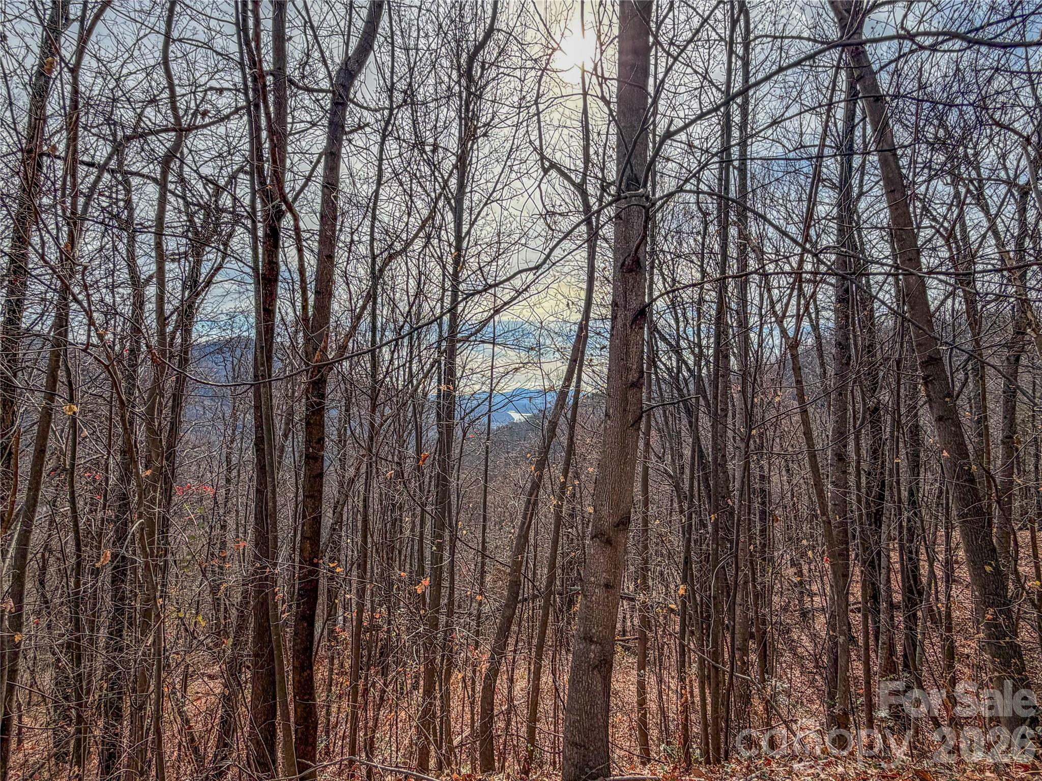 Lot 375 Rolling Ridge Trail