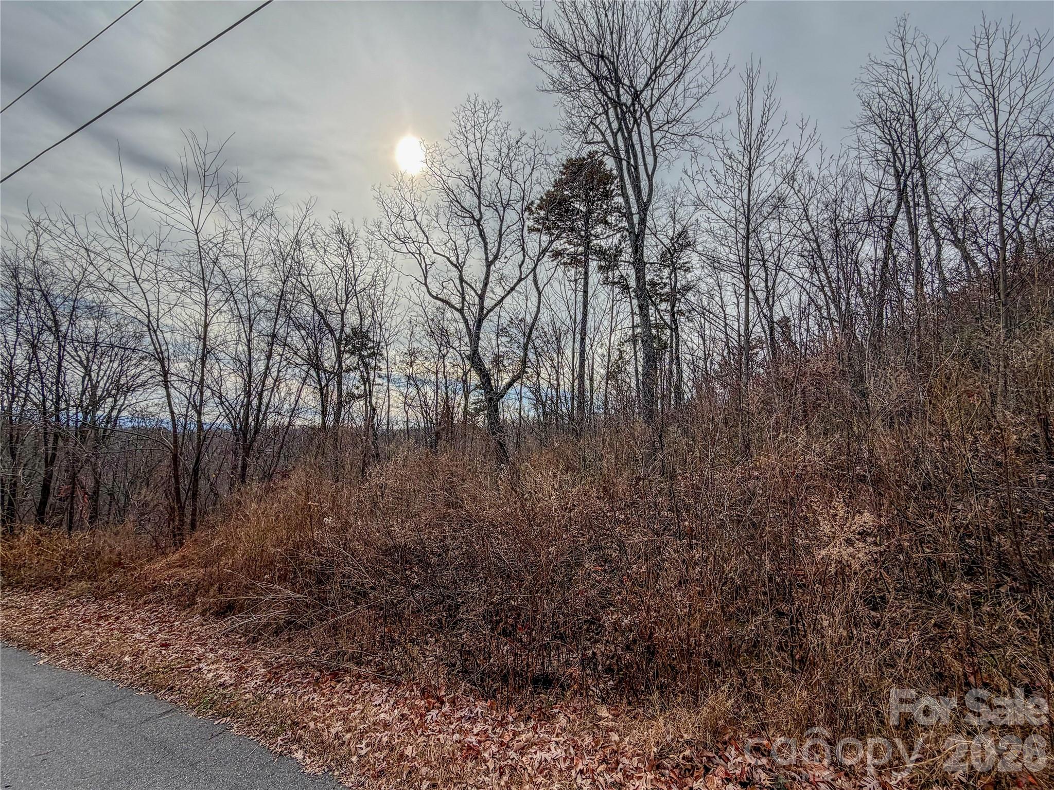 Lot 375 Rolling Ridge Trail