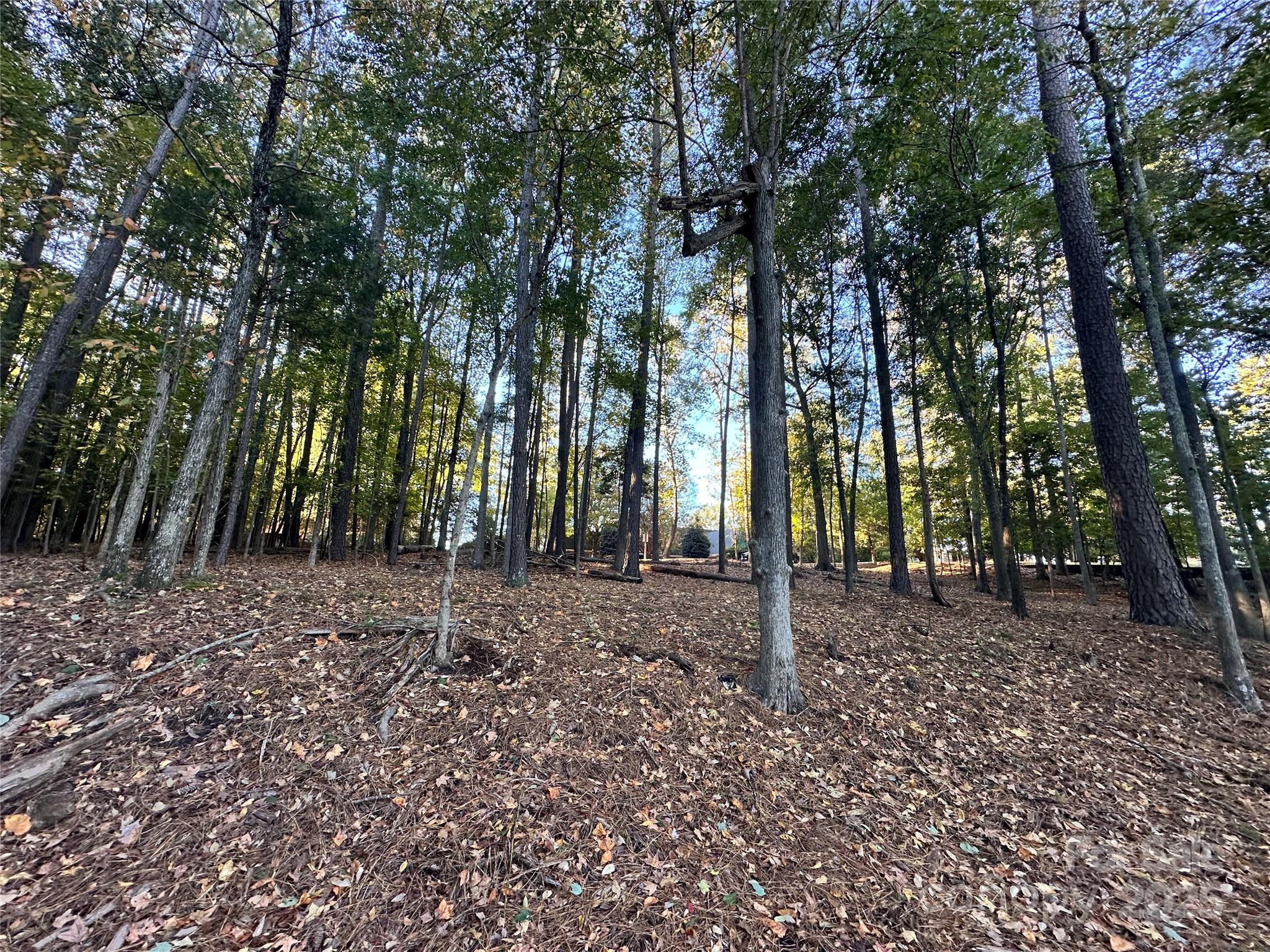 Sand-Tar Developers - Land