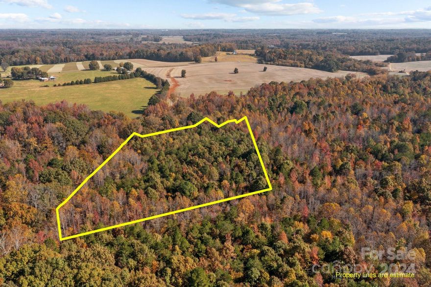 Discover a peaceful countryside retreat in western Rowan County, nestled along the year-round Beaverdam Creek. This scenic property has a rich agricultural history, meeting government standards with soil ideal for farming and percolation (buyer to verify with soil tests). Strongly wooded with a variety of trees. Surrounded by tranquil, panoramic views, it’s an ideal spot to build a custom home or establish a small working farm. With an easy commute to both Winston-Salem and Charlotte and the option to add adjoining parcels, this property combines peaceful seclusion with convenience.