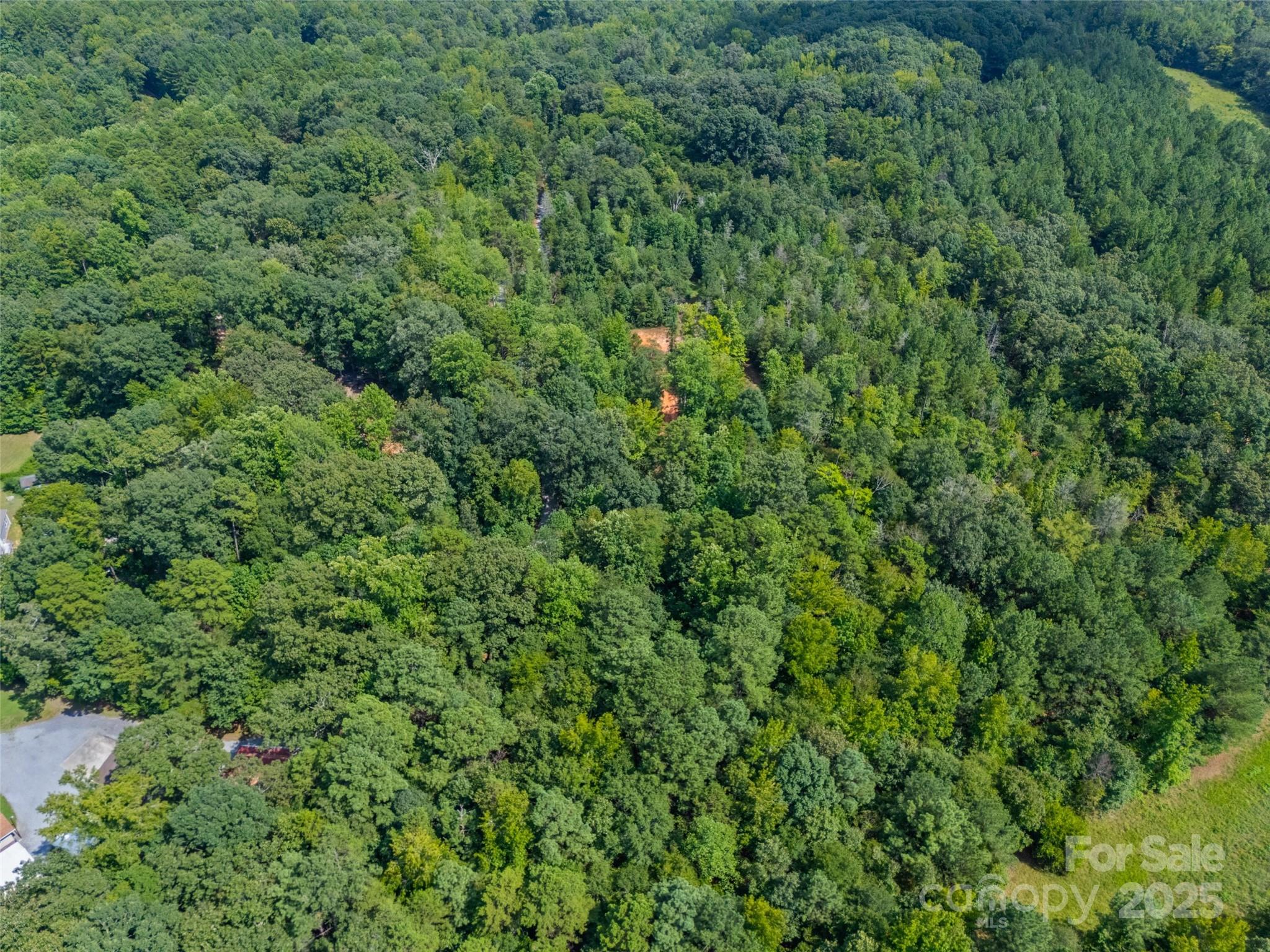 Lot 1 Ratteree Farms Road 1