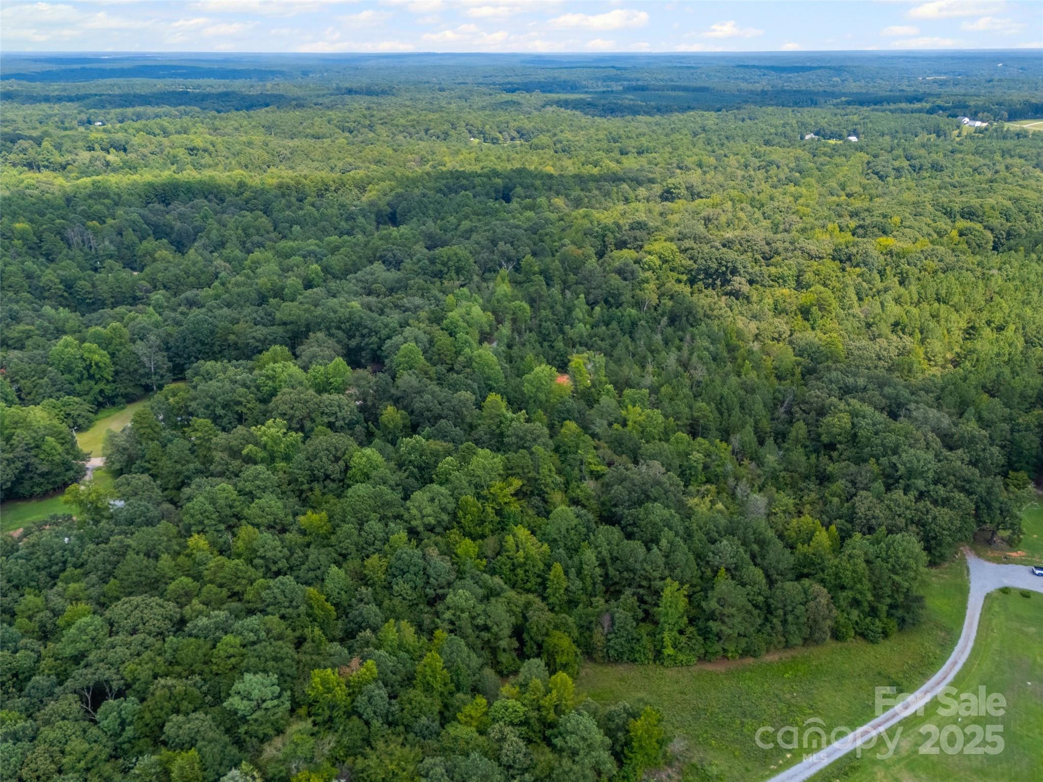 Lot 1 Ratteree Farms Road 1