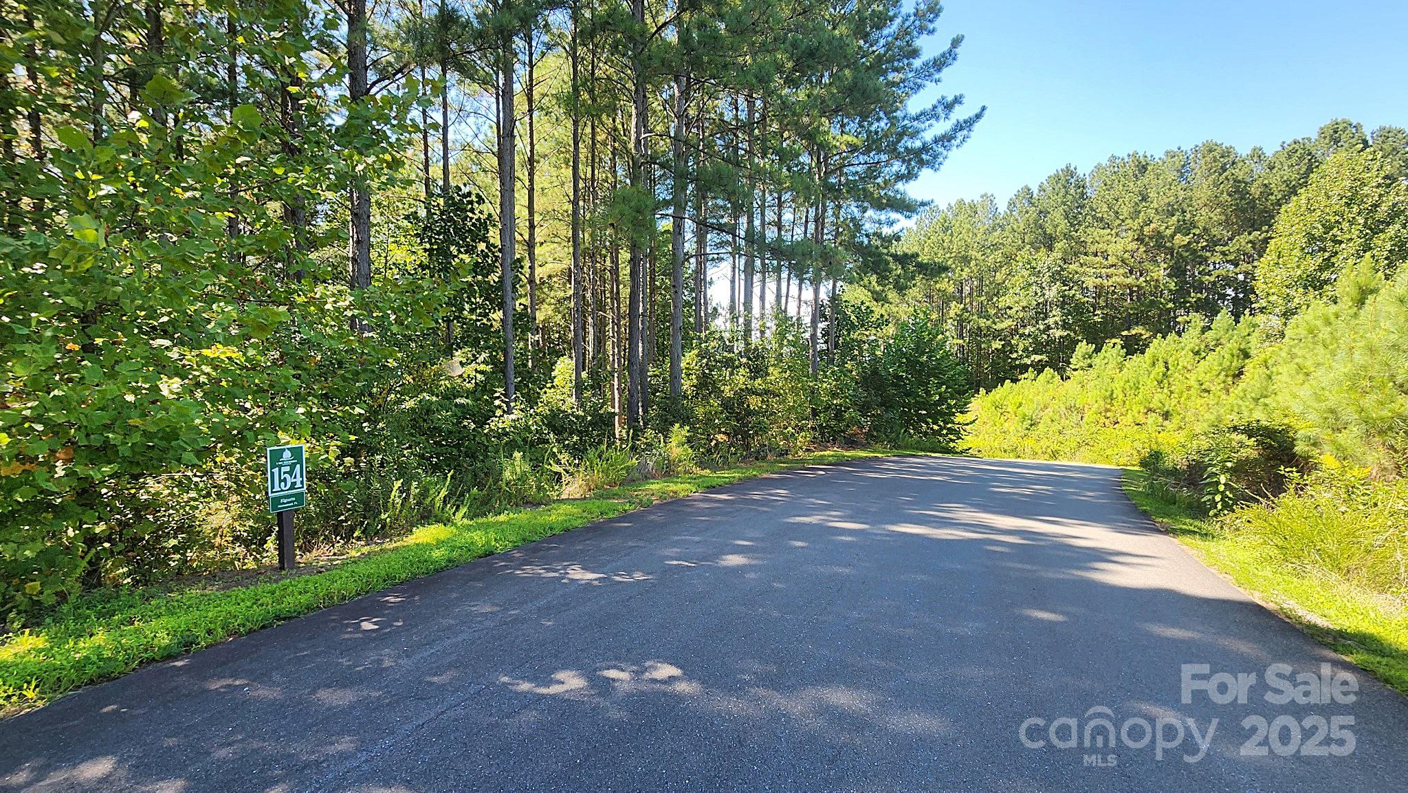 Lake Rhodhiss Estates - Land