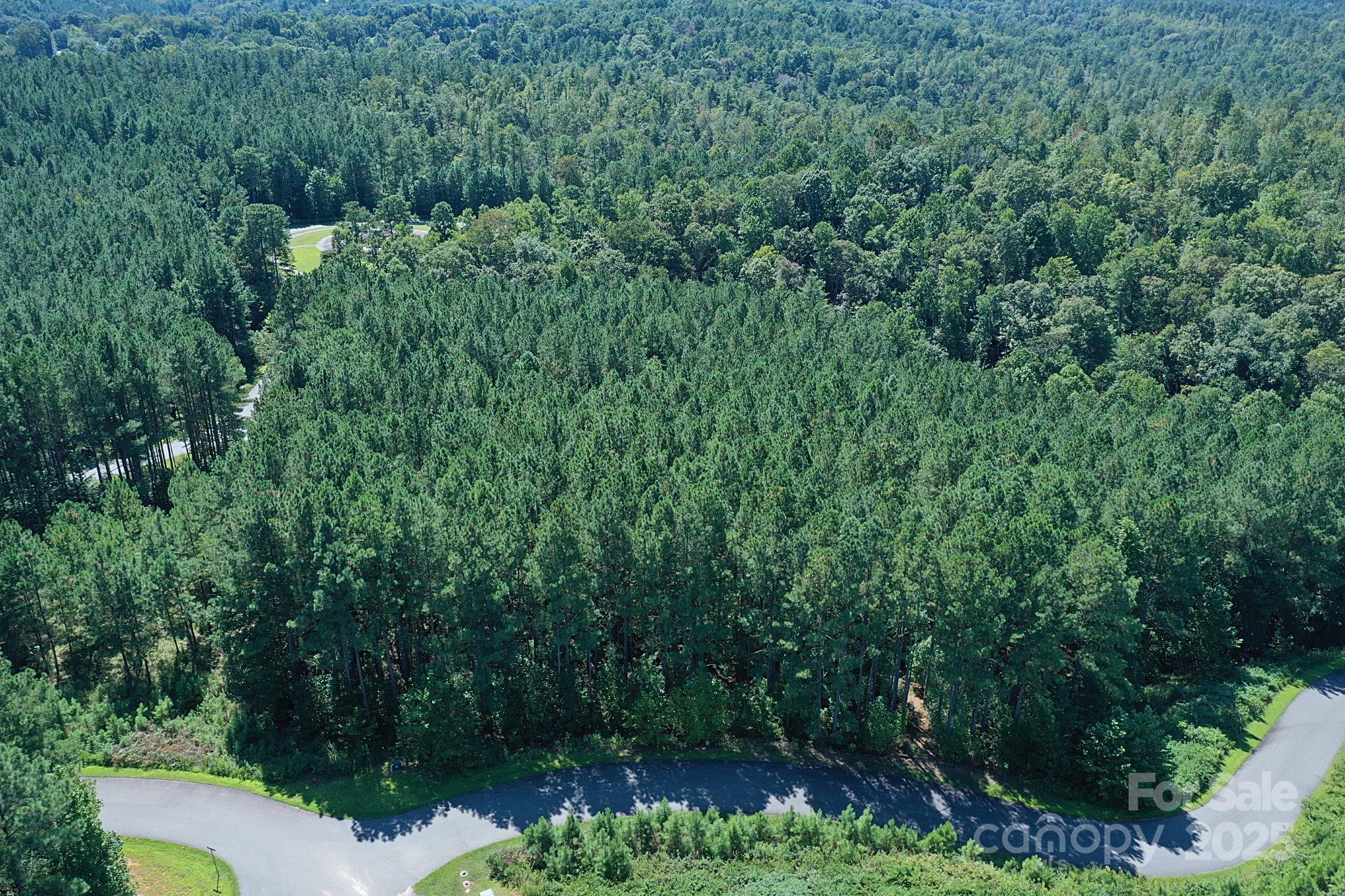 Lake Rhodhiss Estates - Land