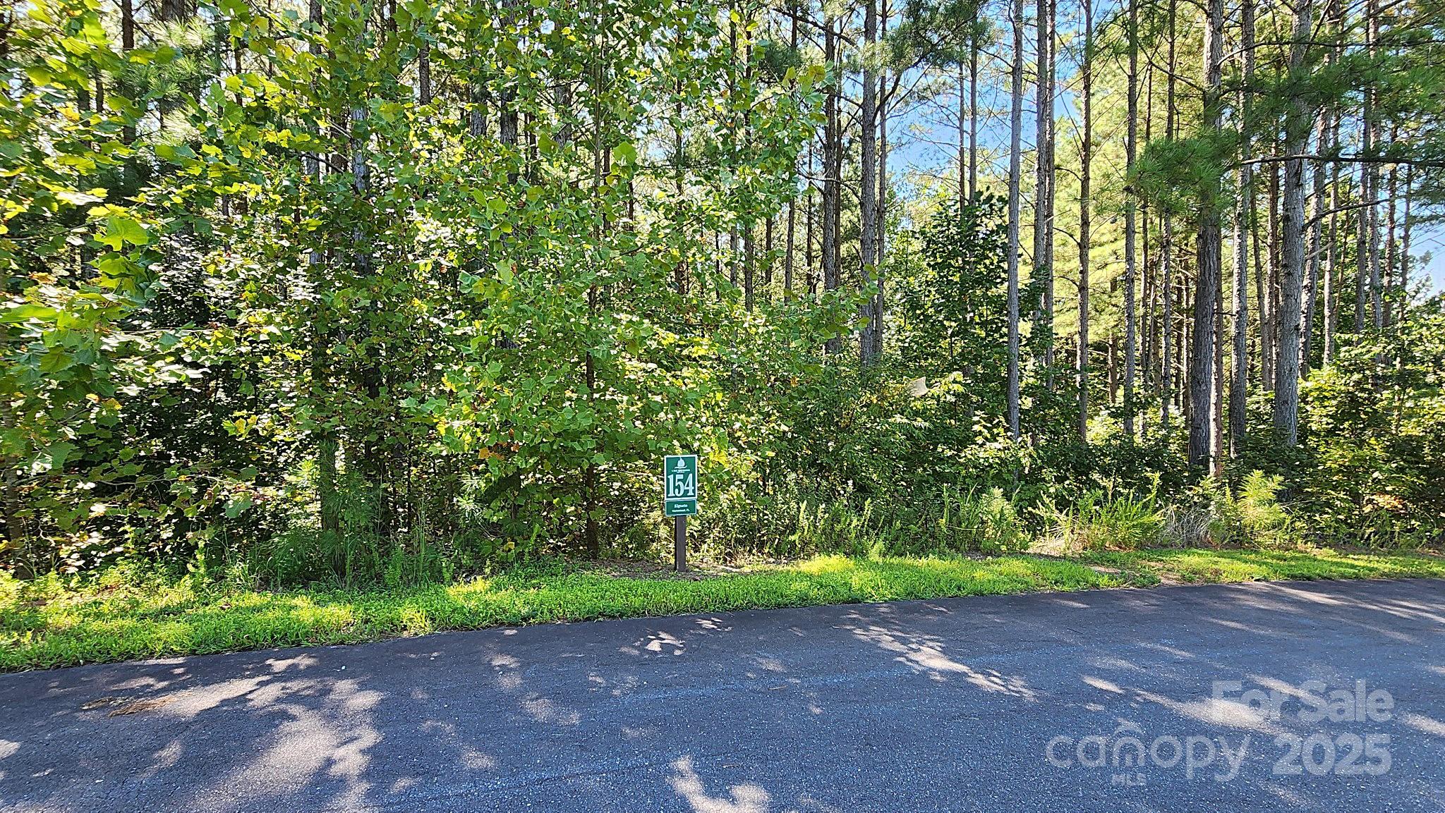 Lake Rhodhiss Estates - Land