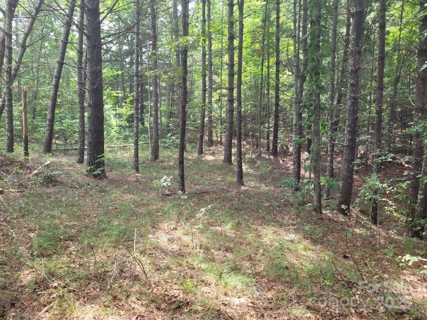 Discover the ideal mountain retreat with this affordable 1.3-acre wooded lot, featuring a level build site and priced to sell. Nestled within the private, gated community of Grandview Peaks, this property offers a serene setting surrounded by custom built homes and natural beauty. Residents enjoy exclusive access to a scenic 10 acre lake, perfect for swimming, fishing, and relaxing at the sandy beach. Community amenities include a covered pavilion with an outdoor kitchen, stone fireplace, horseshoe pits, and shuffleboard courts. With over five miles of hiking trails and a vibrant calendar of social and hobby group events, Grandview Peaks fosters an active and welcoming lifestyle.
Conveniently located just minutes from Marion and Morganton, and under an hour from Asheville. Lake Lure and Lake James are also within a 30-minute drive, offering even more opportunities for recreation and exploration.