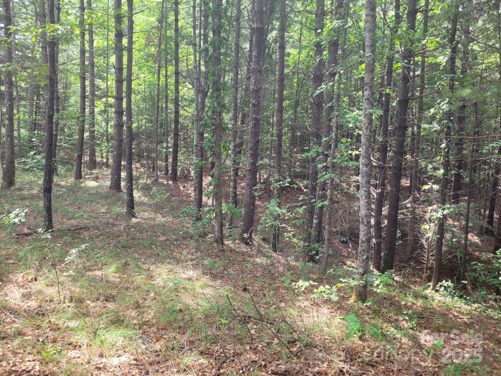 Lot 278 Scenic Vista Drive