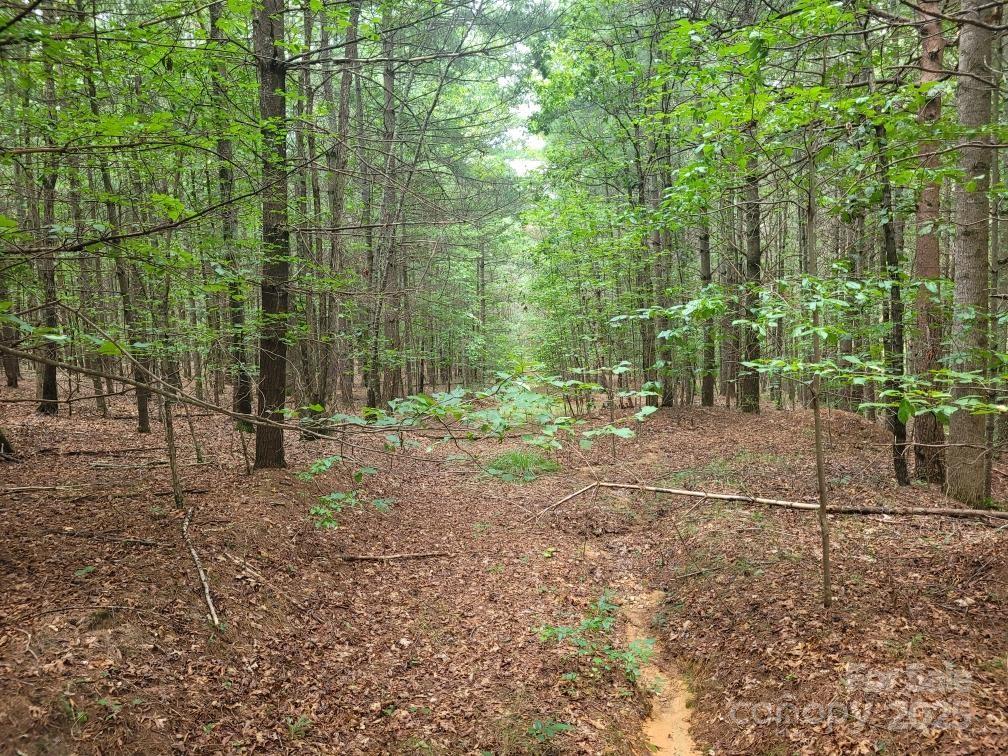 Lot 278 Scenic Vista Drive