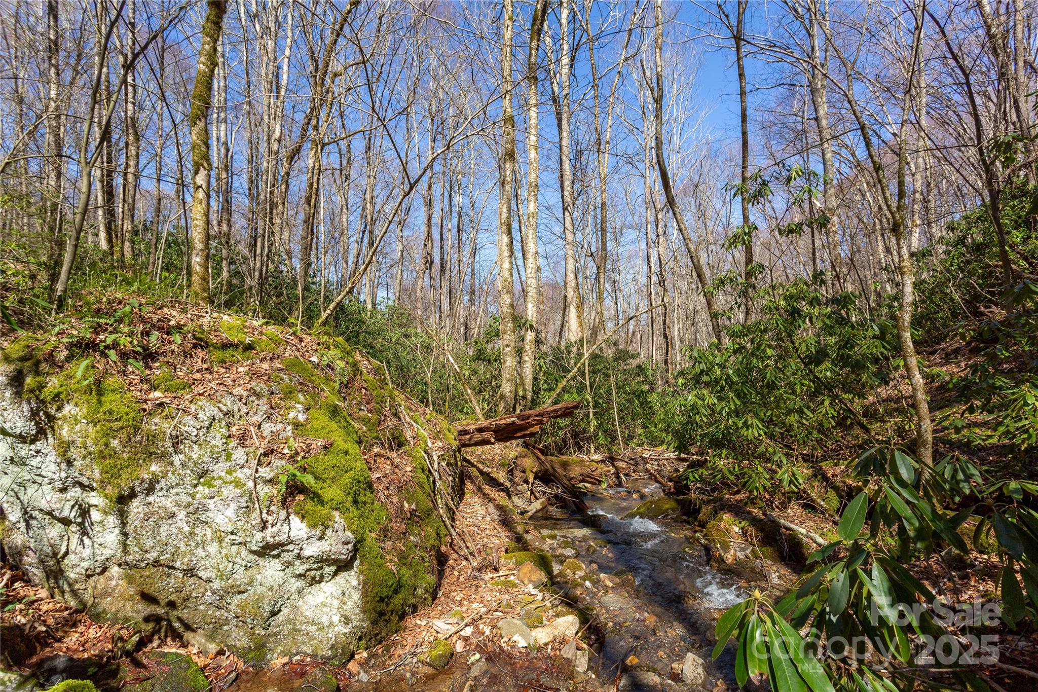 Black Rock Creek - Land