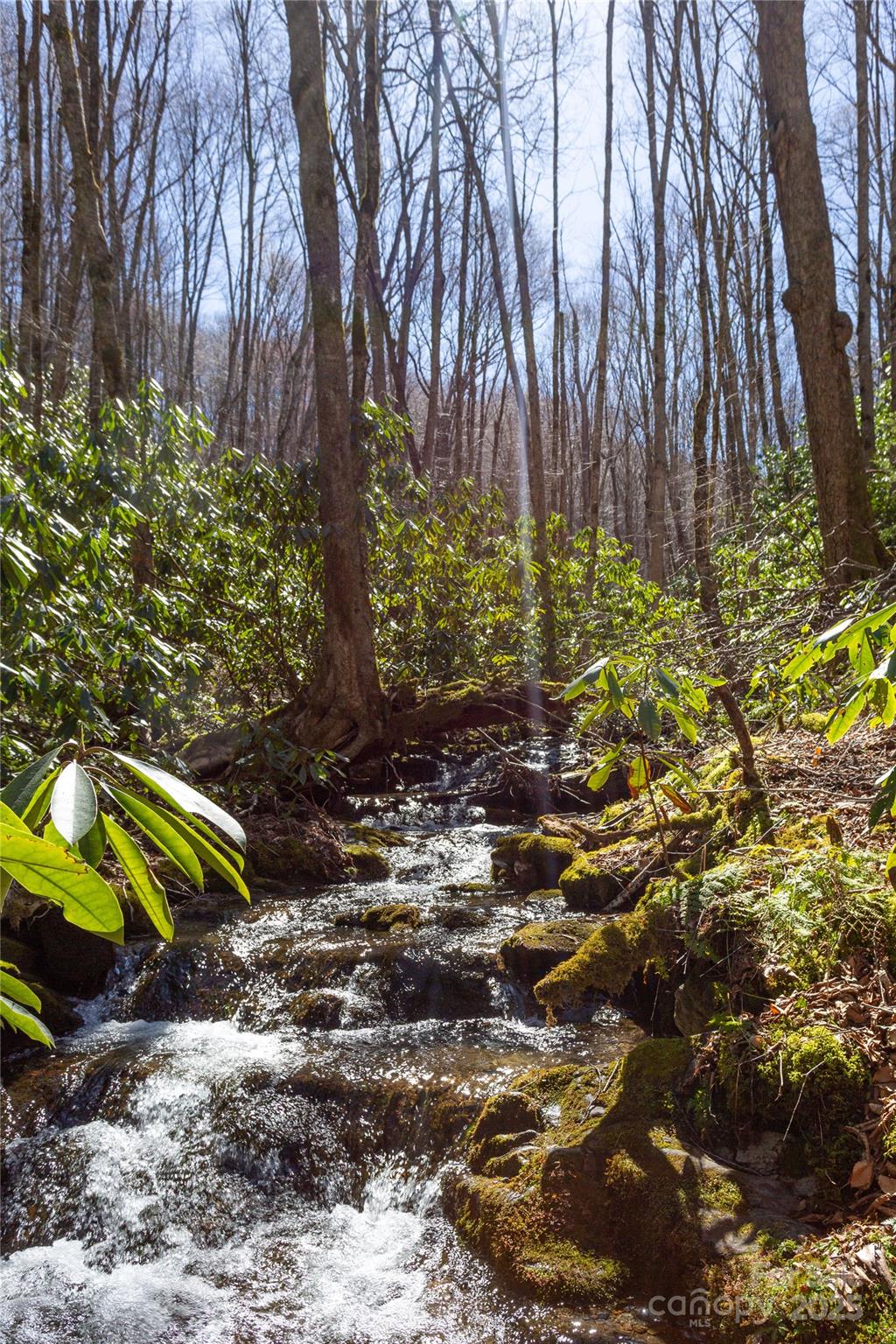 Lot 50 Bearwallow Ridge Trail 50