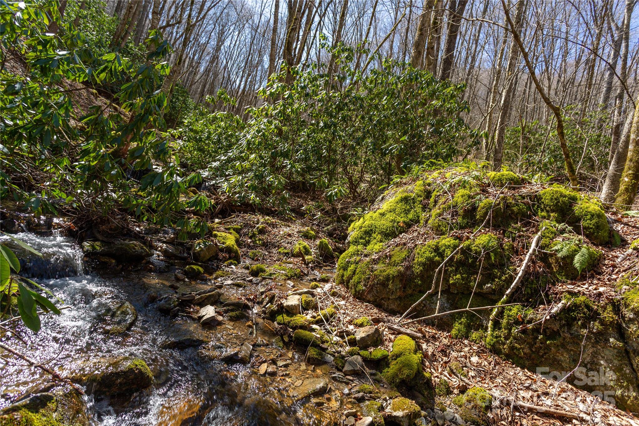 Black Rock Creek - Land