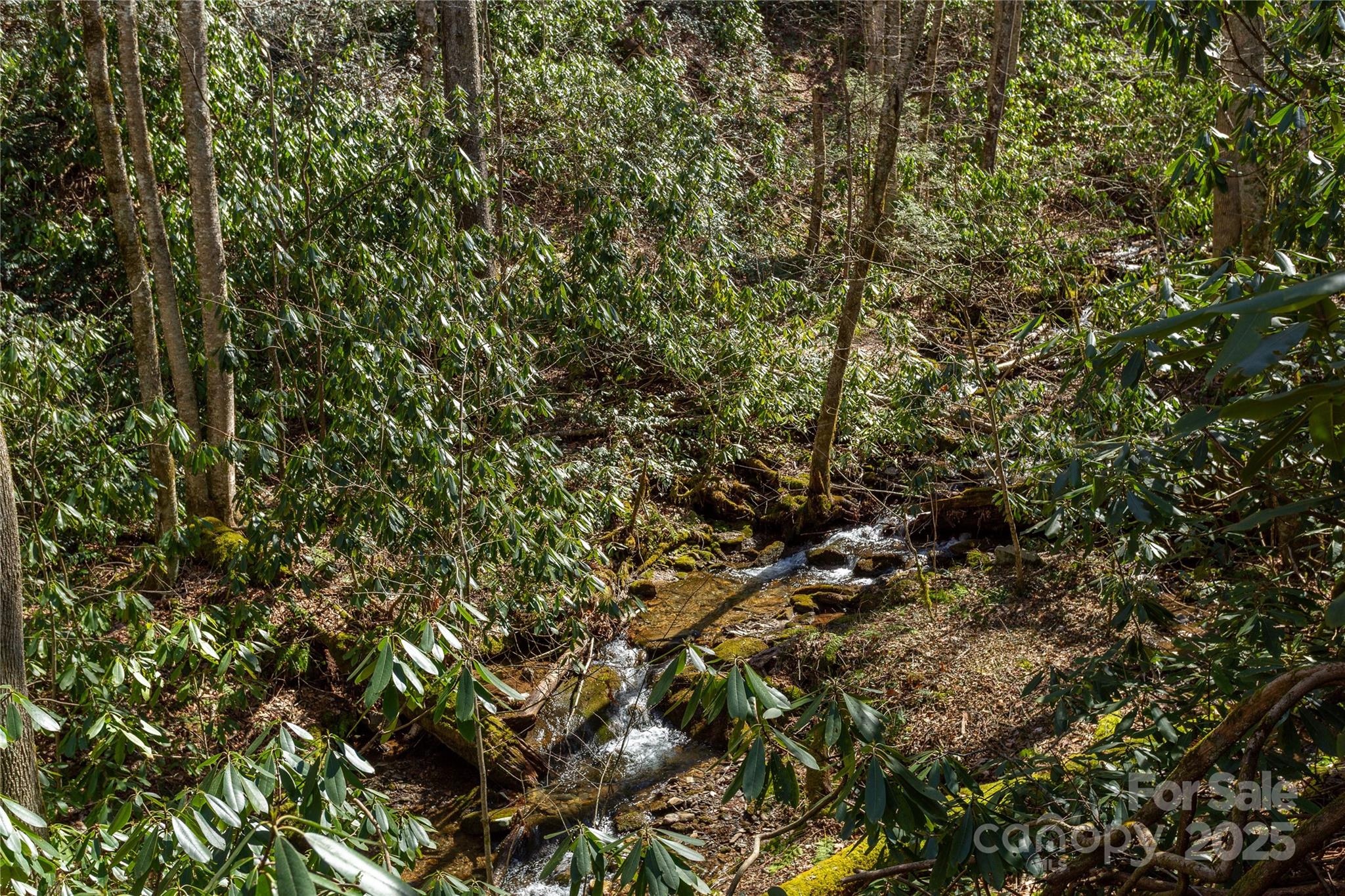 Black Rock Creek - Land