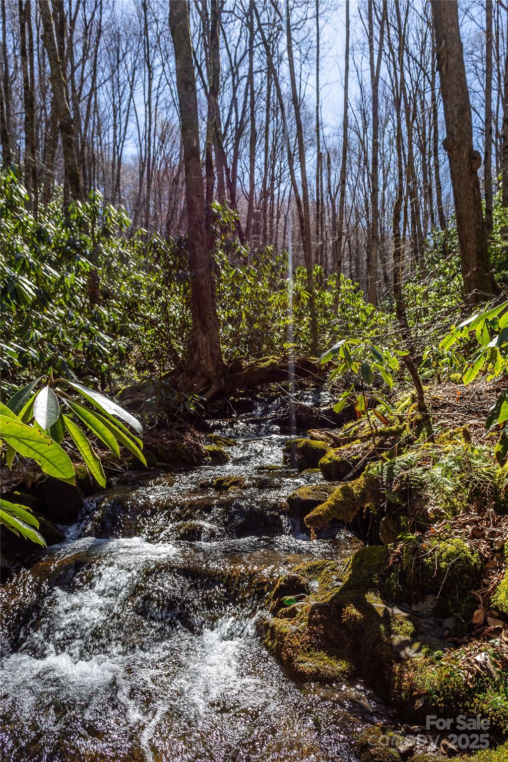 Lot 50 Bearwallow Ridge Trail 50